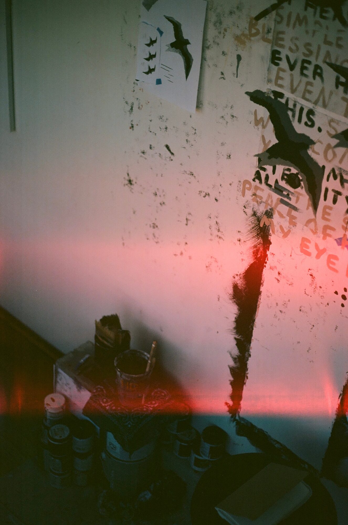 Wall with bird silhouettes, posters, and a red light streak, with bottles and objects at the bottom, in a dimly lit room.