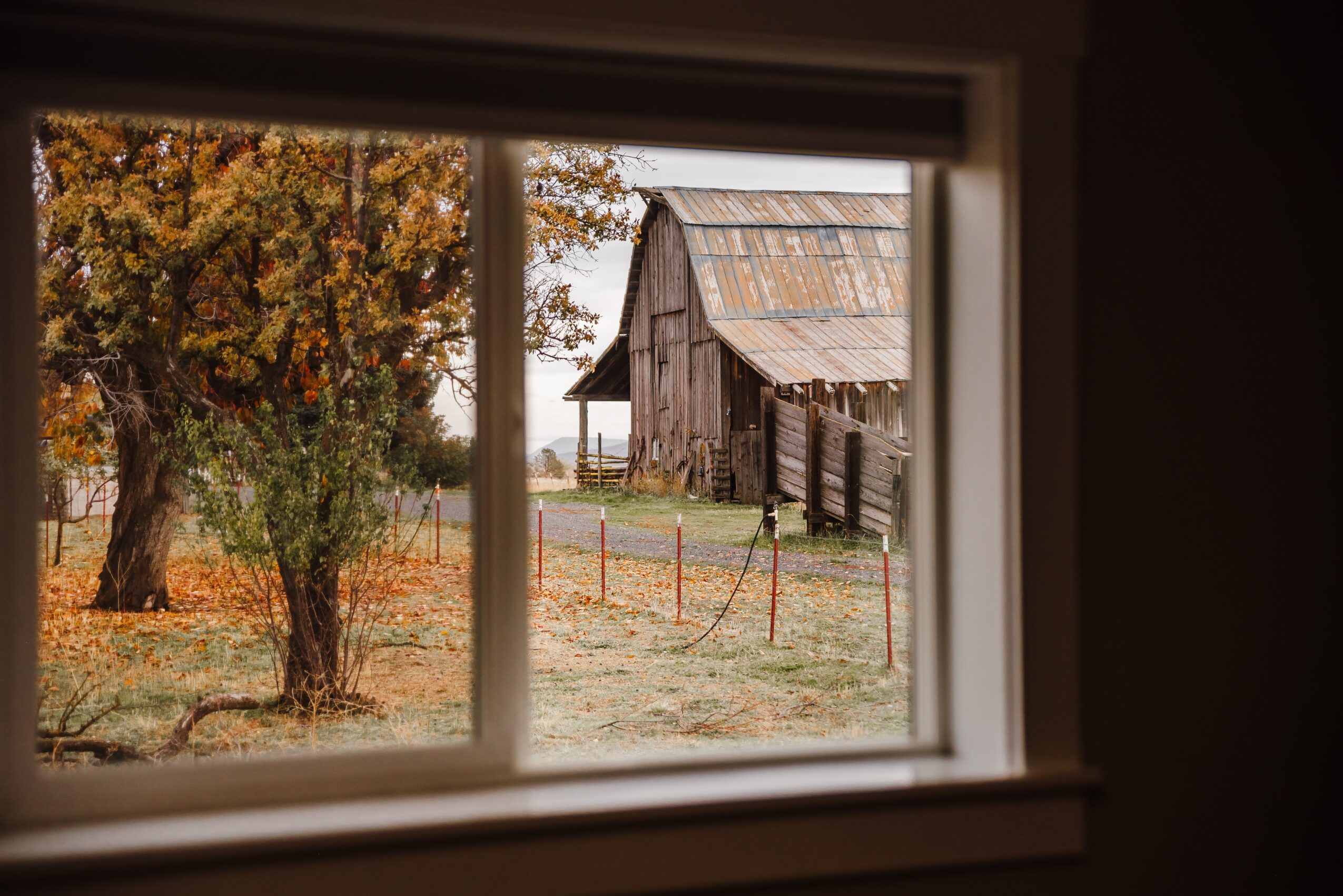 View through a window showing an old barn, trees with autumn leaves, and a fenced area outside.