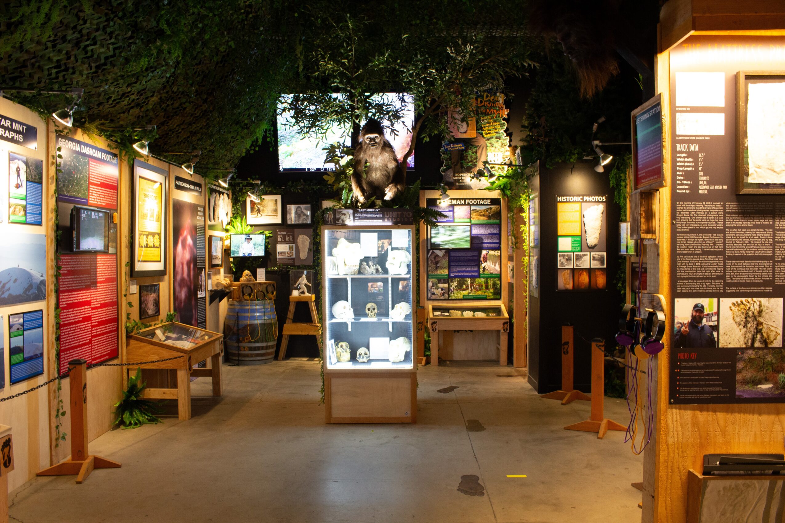 Exhibition space with display cases, informational panels, and benches, surrounded by trees and illuminated displays.