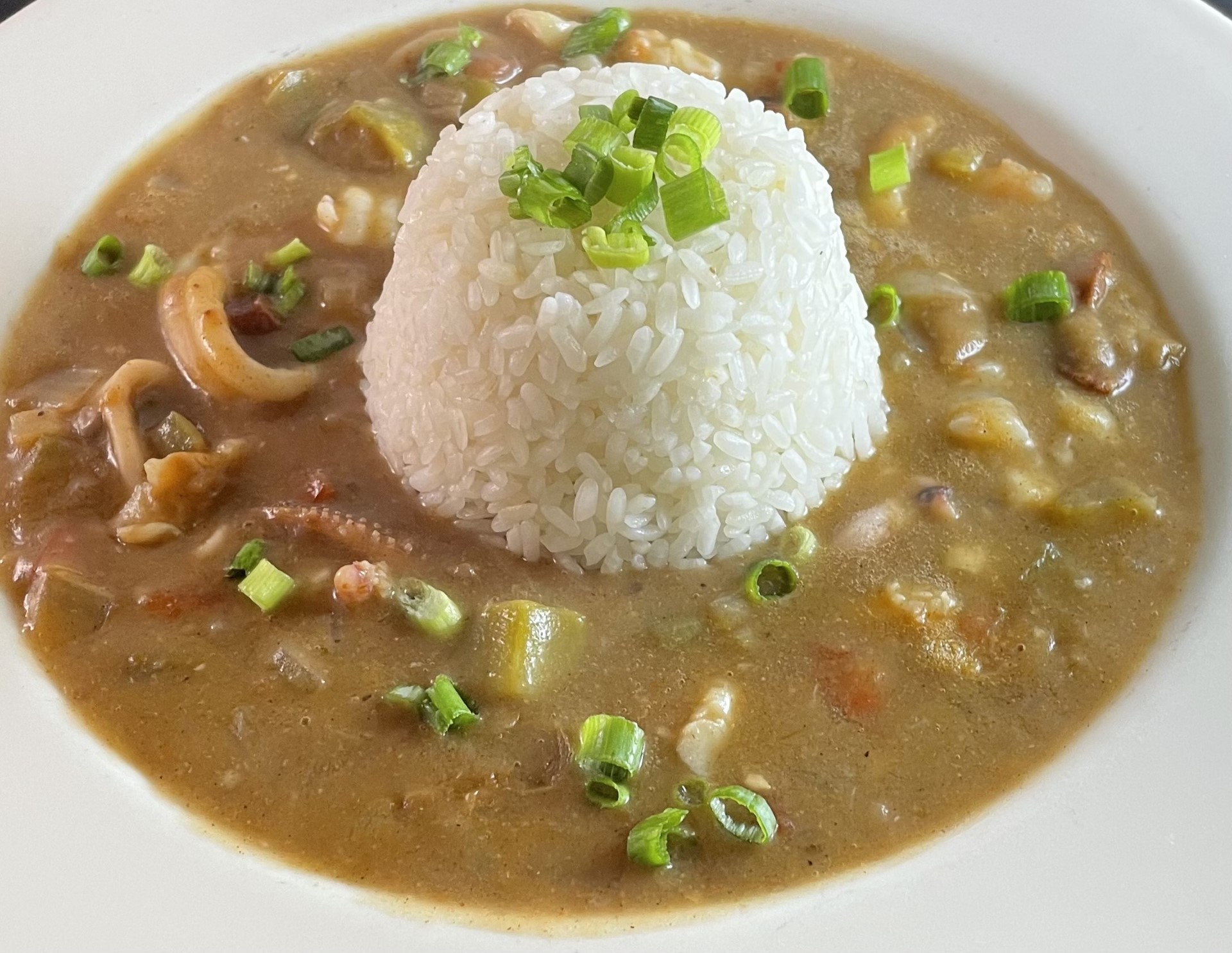 Bowl of rice with curry and chopped green onions on top, served in a white bowl.