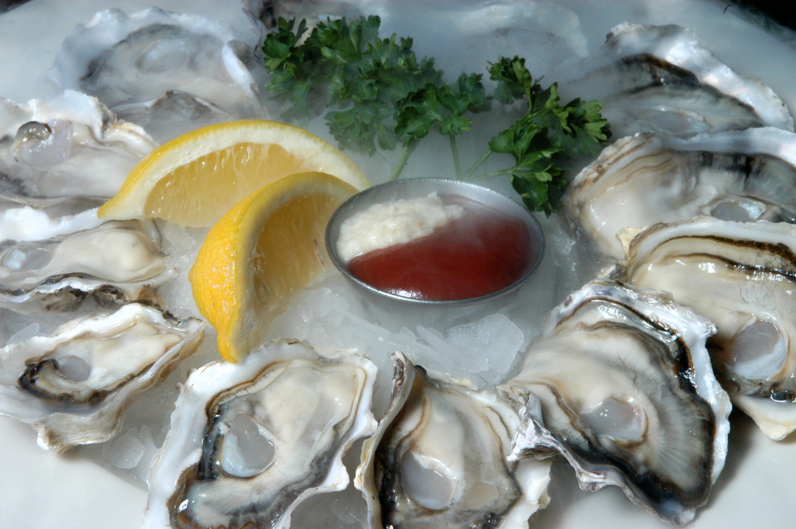 Oysters on ice with lemon wedges, parsley, and a small dish of sauce and horseradish, close-up.