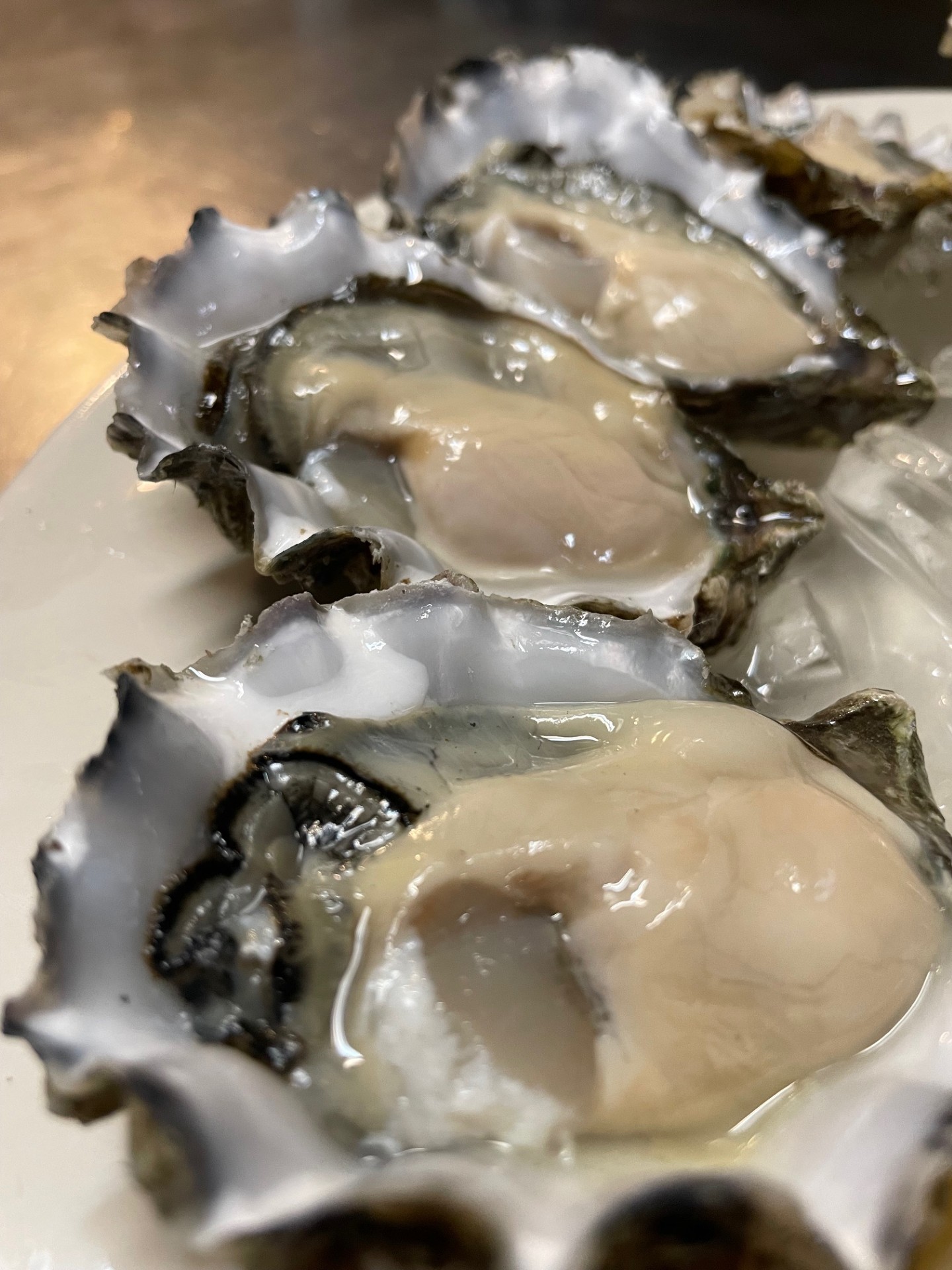 Close-up of opened oysters on a white plate with ice, showing the meat inside shells.