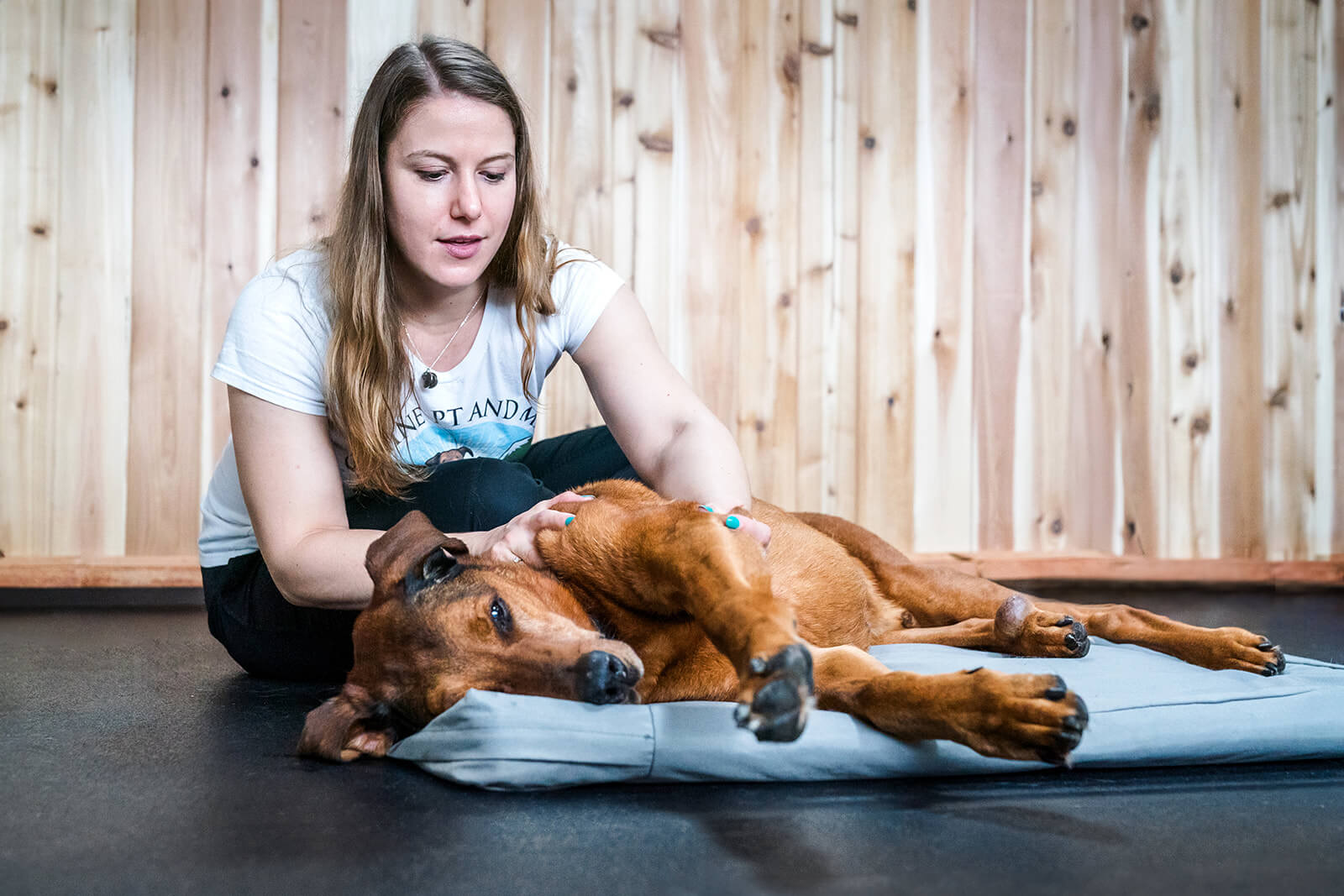 Young woman with long hair petting a large brown dog lying on a mat, wooden wall background.