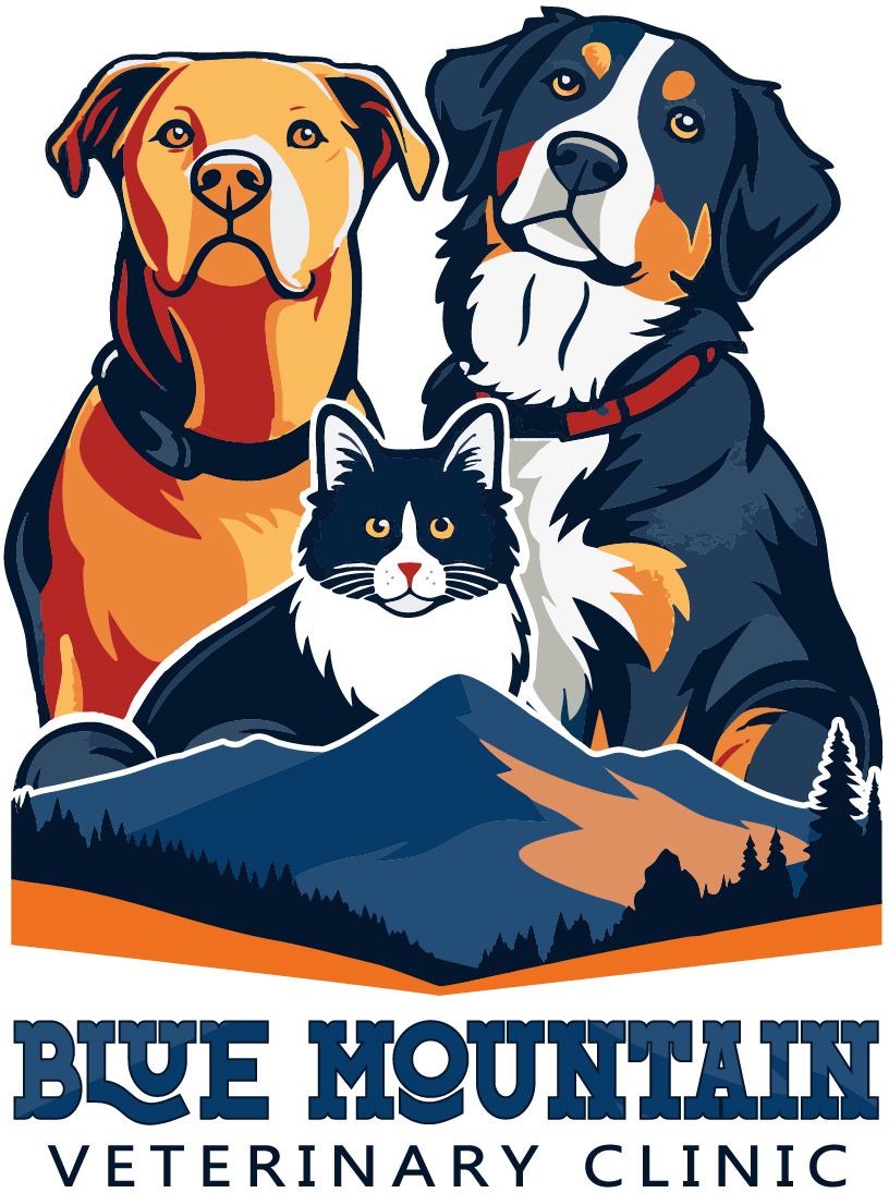 Three animals, a dog, a cat, and a dog, with mountains in the background and text for Blue Mountain Veterinary Clinic.