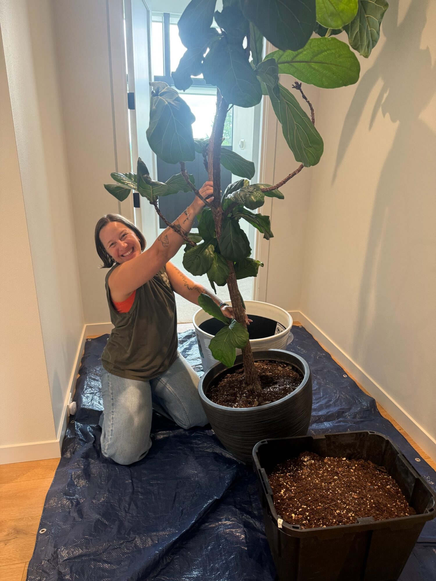 Person kneeling next to a large potted plant indoors, smiling and touching the plant's leaves, with a window in the background.