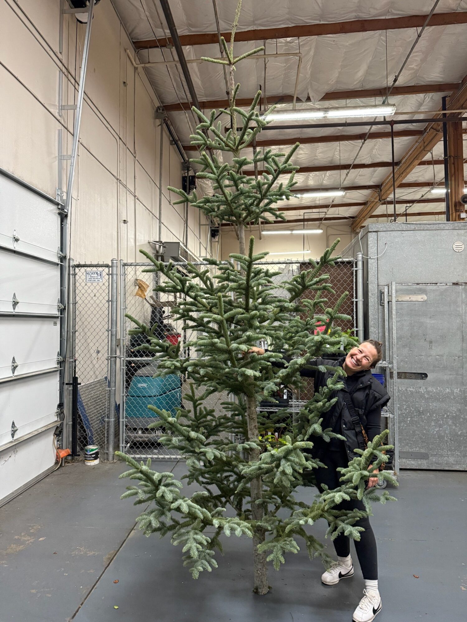 Person standing next to a tall Christmas tree inside a warehouse, with a chain-link fence and industrial ceiling visible.