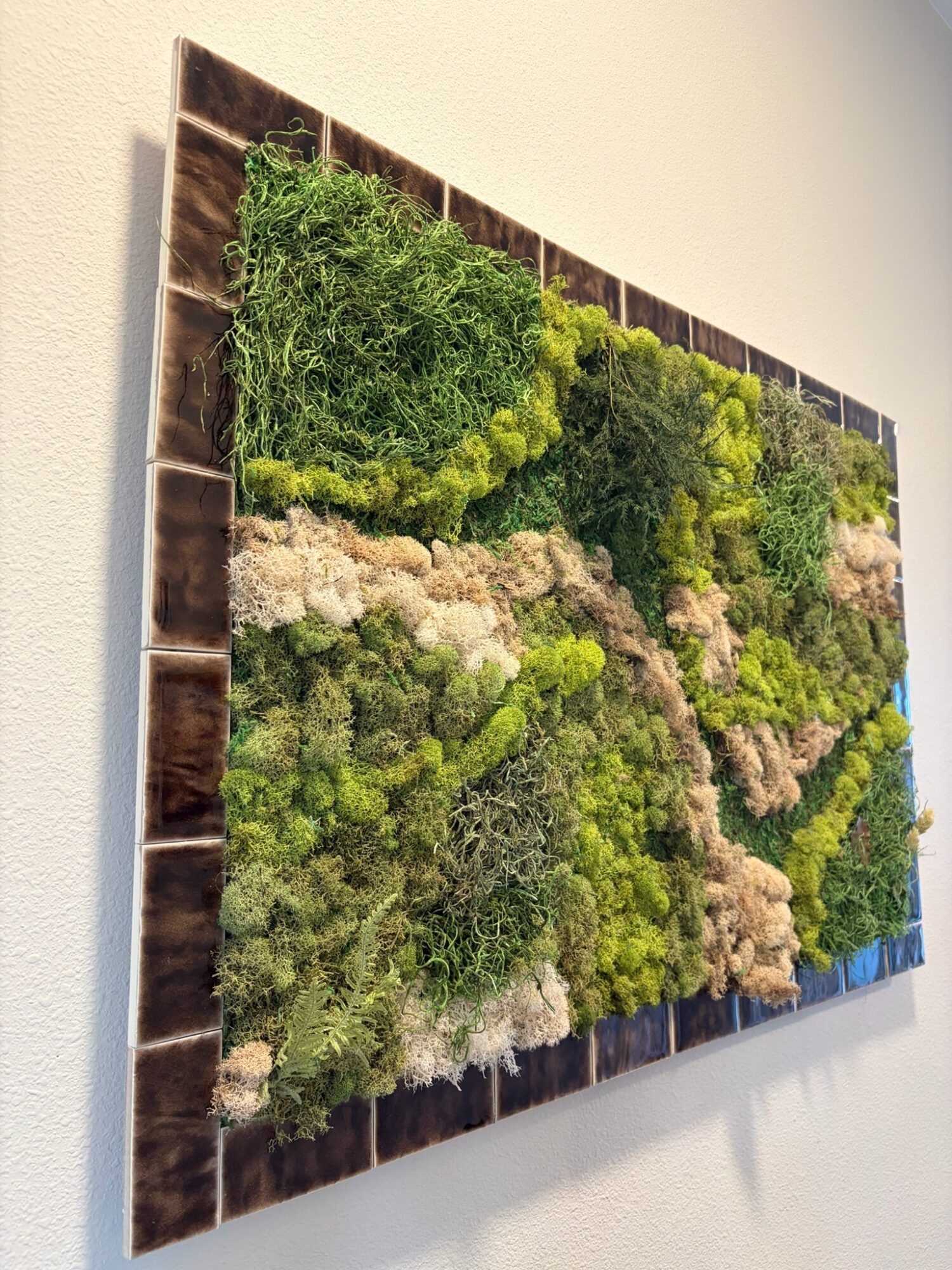 Vertical wall-mounted garden with various green plants and mosses, bordered by dark tiles, on a white wall.