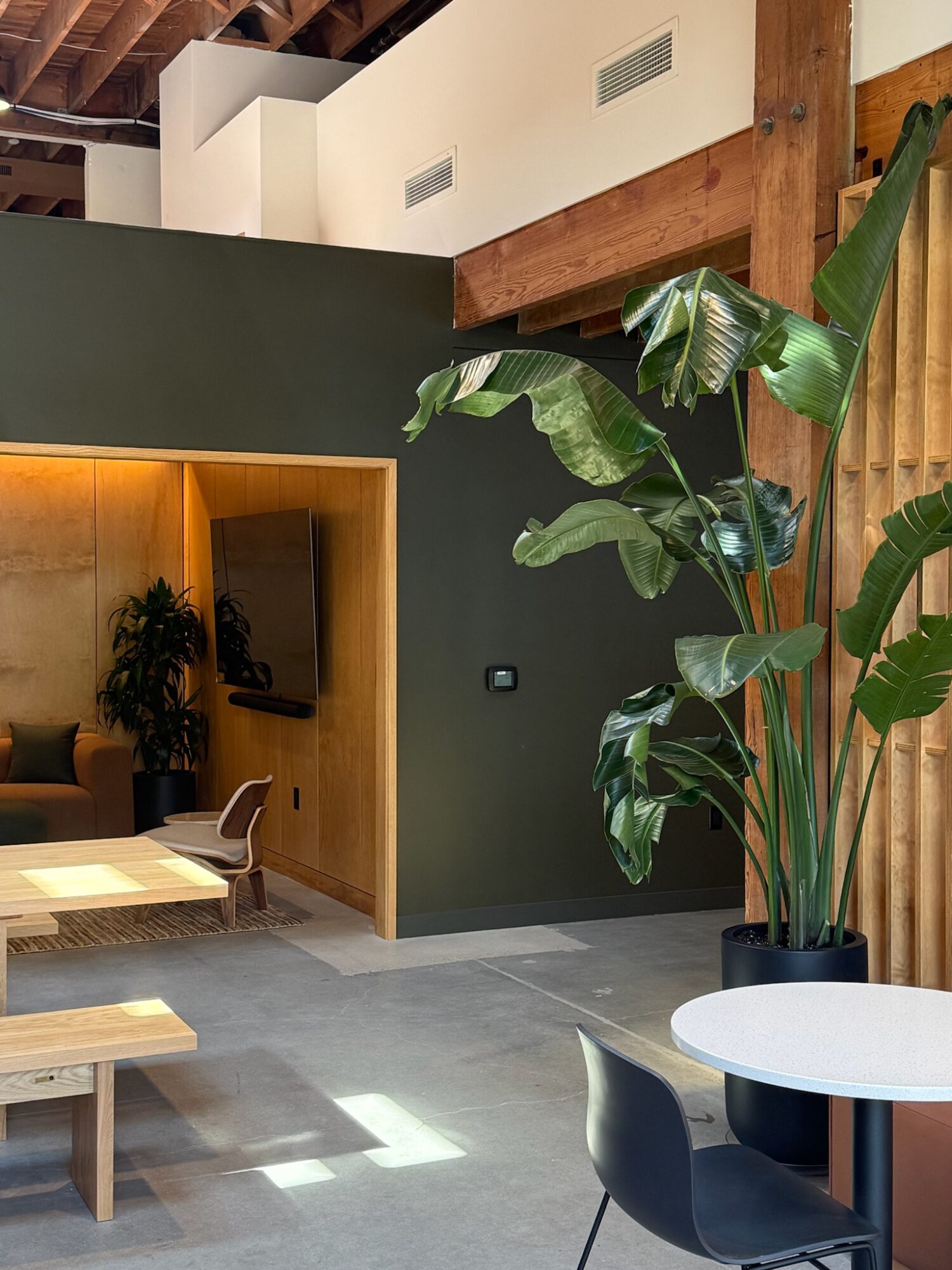 Interior space with green and wooden walls, large potted plant, and seating area, natural light streaming in.