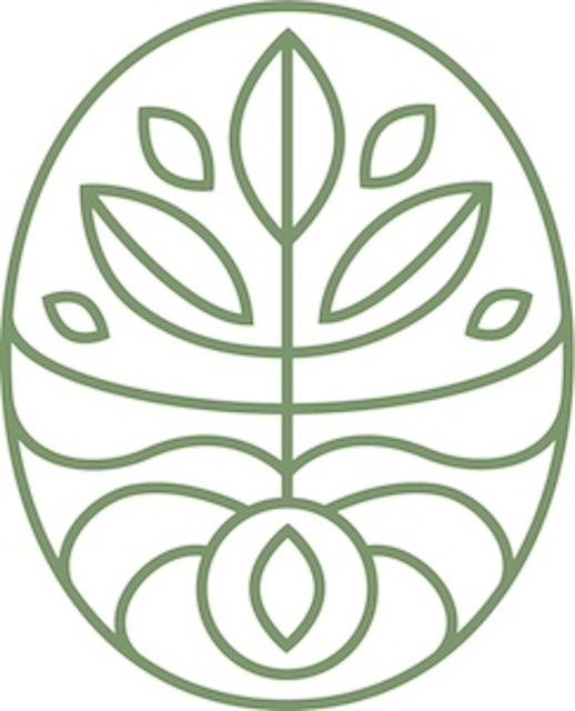 A green line drawing of a plant with leaves inside an oval shape, with a symmetrical design and a circular element at the bottom.