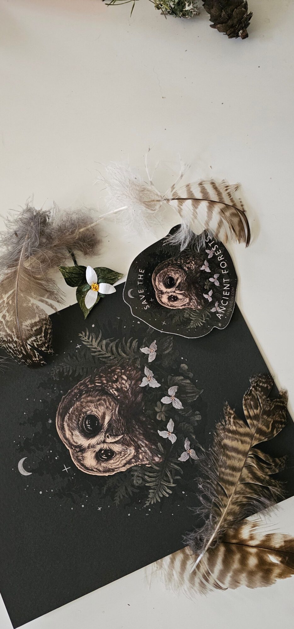 Artwork featuring a skull with floral elements, surrounded by feathers and botanical decorations, on a light background.