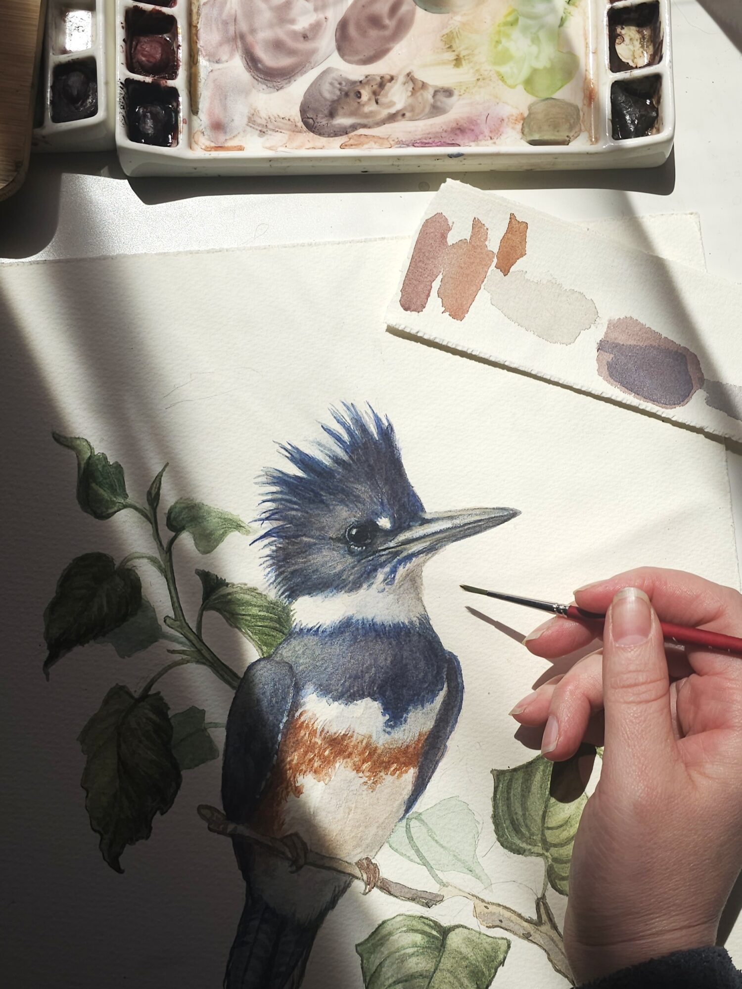 Person painting a detailed watercolor of a bird on paper, with watercolor palette nearby, and leaves on the branch.