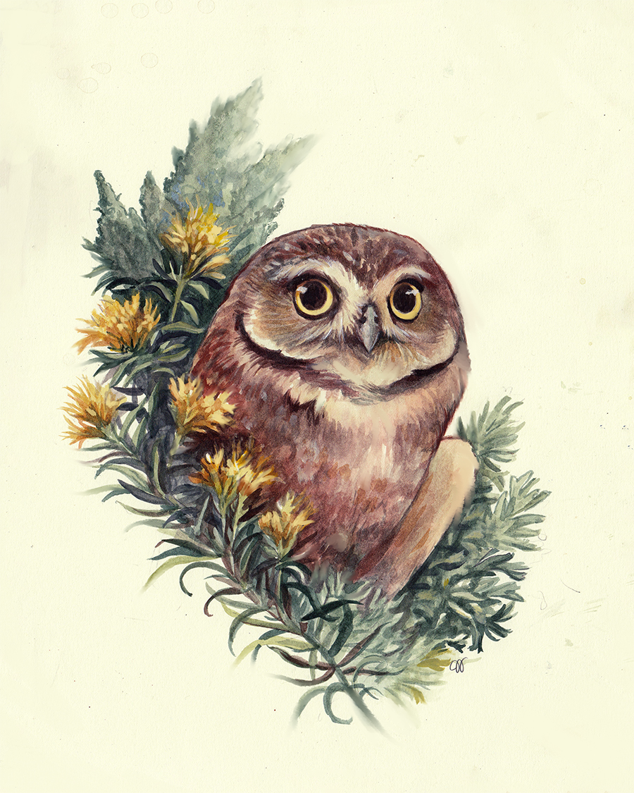 Watercolor illustration of an owl with large eyes, surrounded by green leaves and yellow flowers.