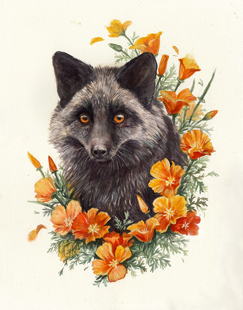 A black and gray wolf surrounded by orange flowers with green leaves, facing forward with amber eyes.