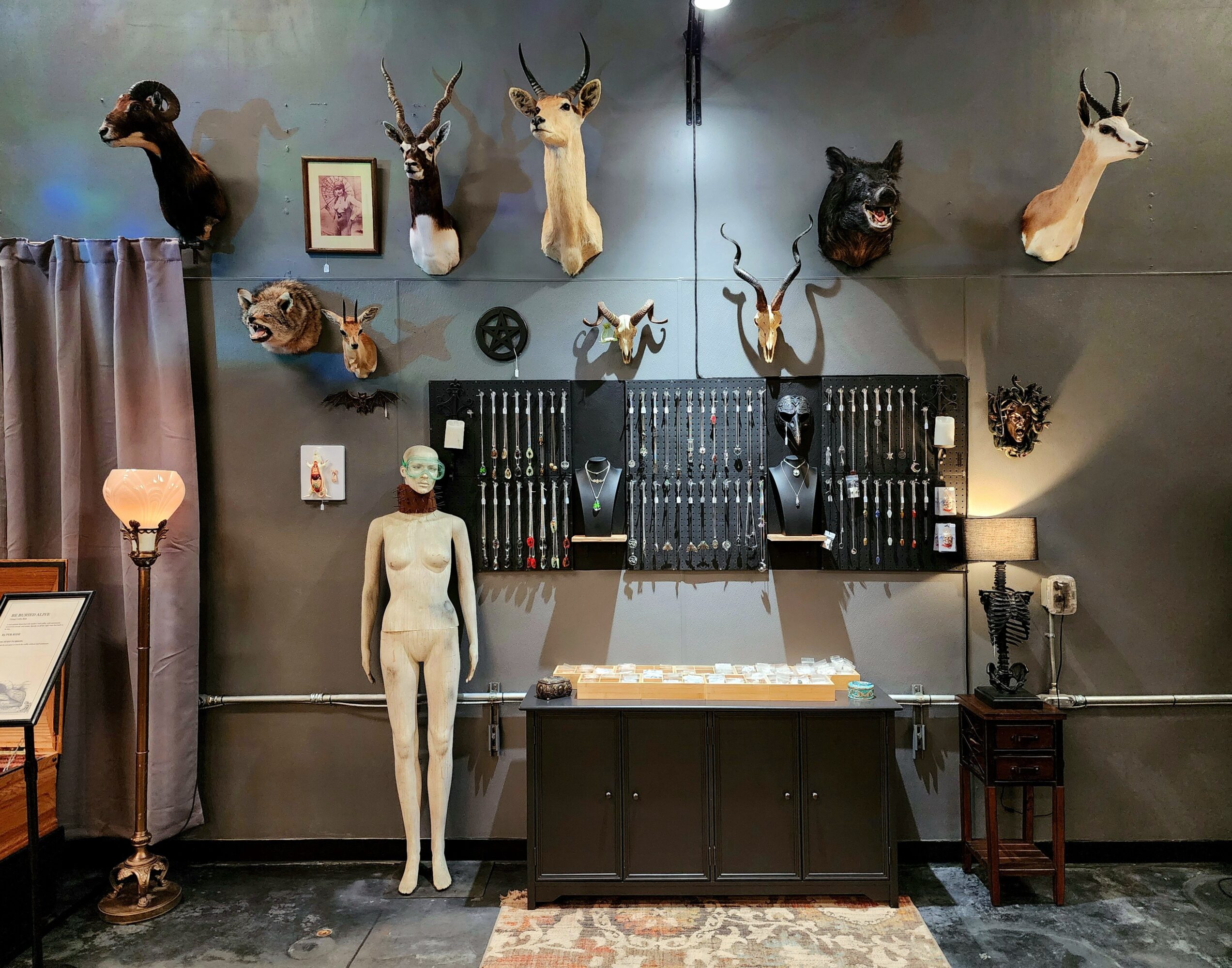 Room with mounted animal heads, a mannequin, and furniture against a gray wall. A lamp and framed picture are also visible.