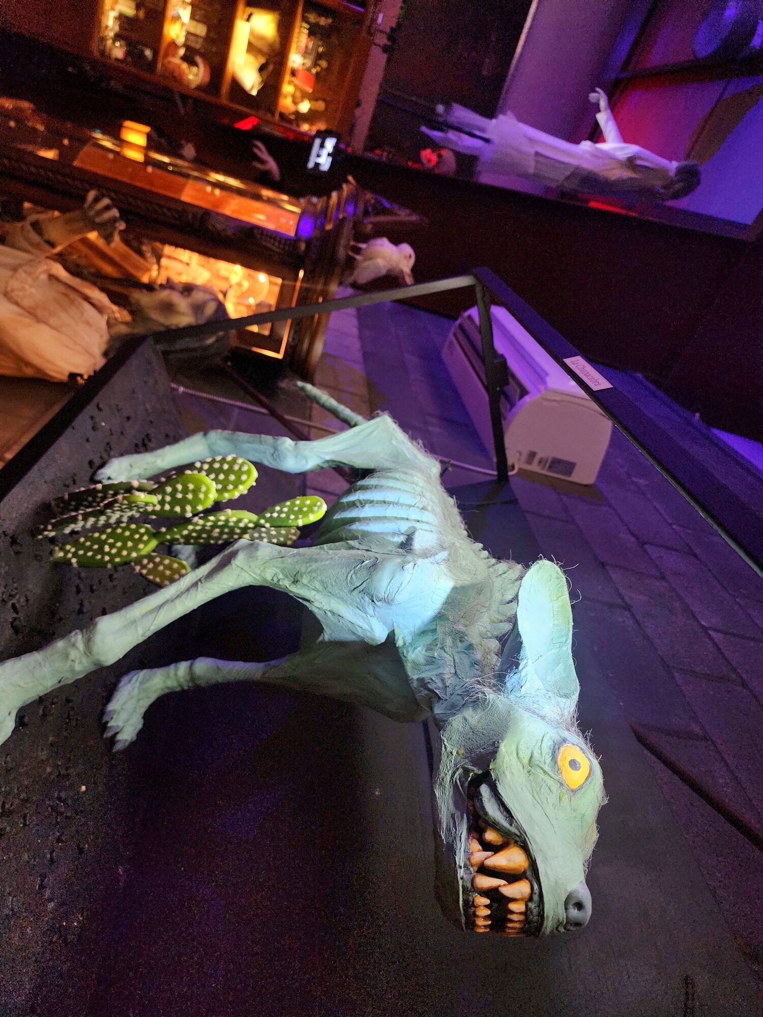 A creature with a dog-like body and a wolf-like head with sharp teeth, standing on a table with cacti nearby.