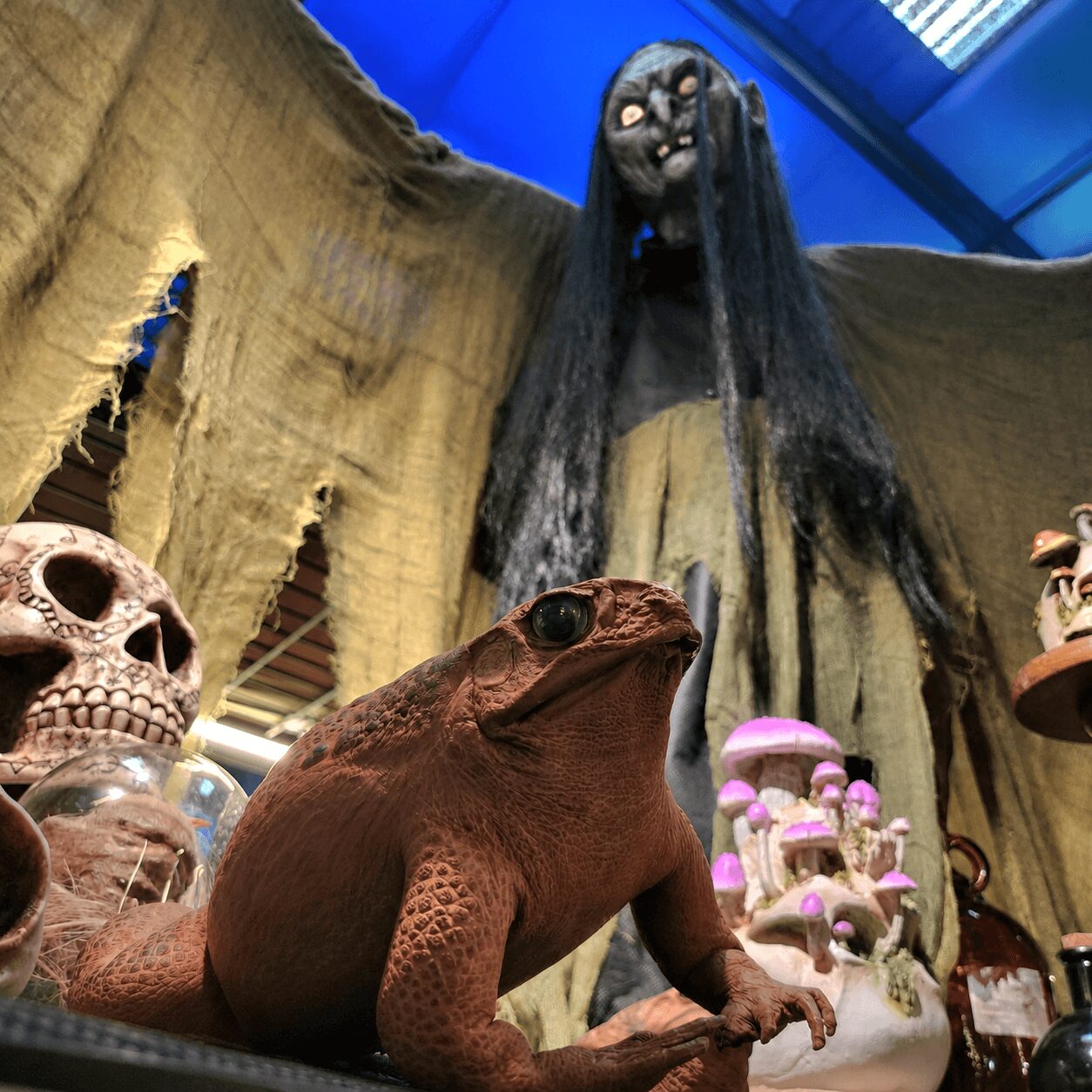 A large, realistic lizard sculpture surrounded by skulls and mushrooms, with a tall, dark figure with long hair and a face in the background.