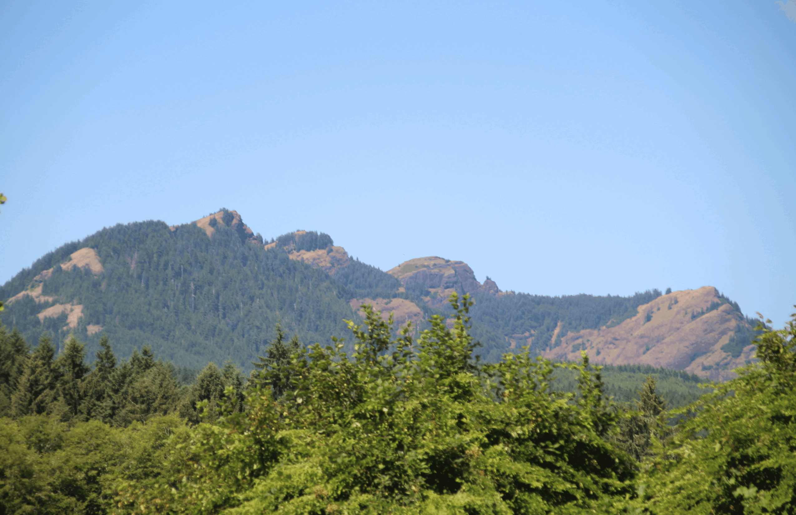 Mountain range with green trees in foreground and clear blue sky above.