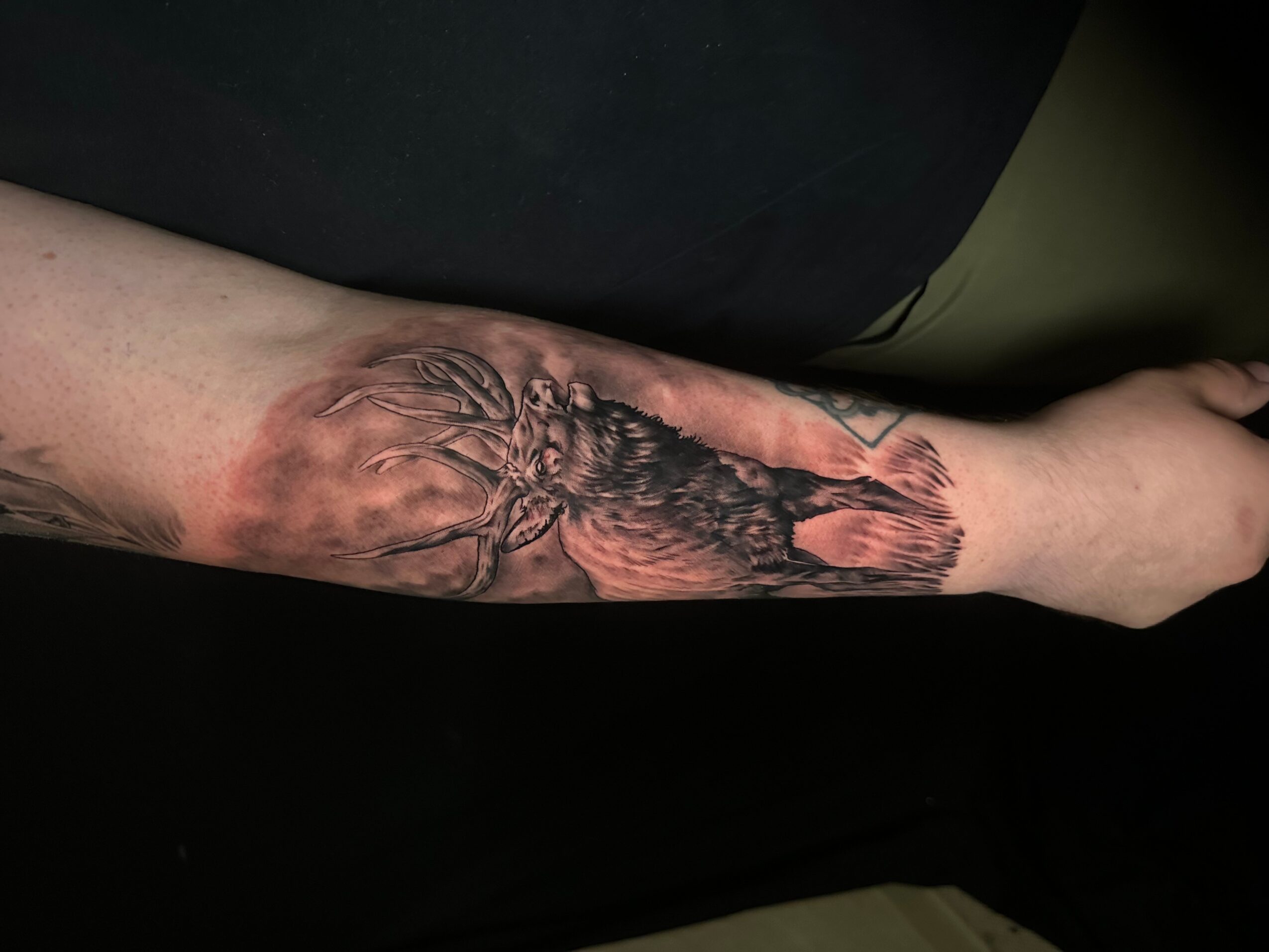 Tattoo of a tree with detailed branches and roots on a person's forearm, with shading and realistic style.