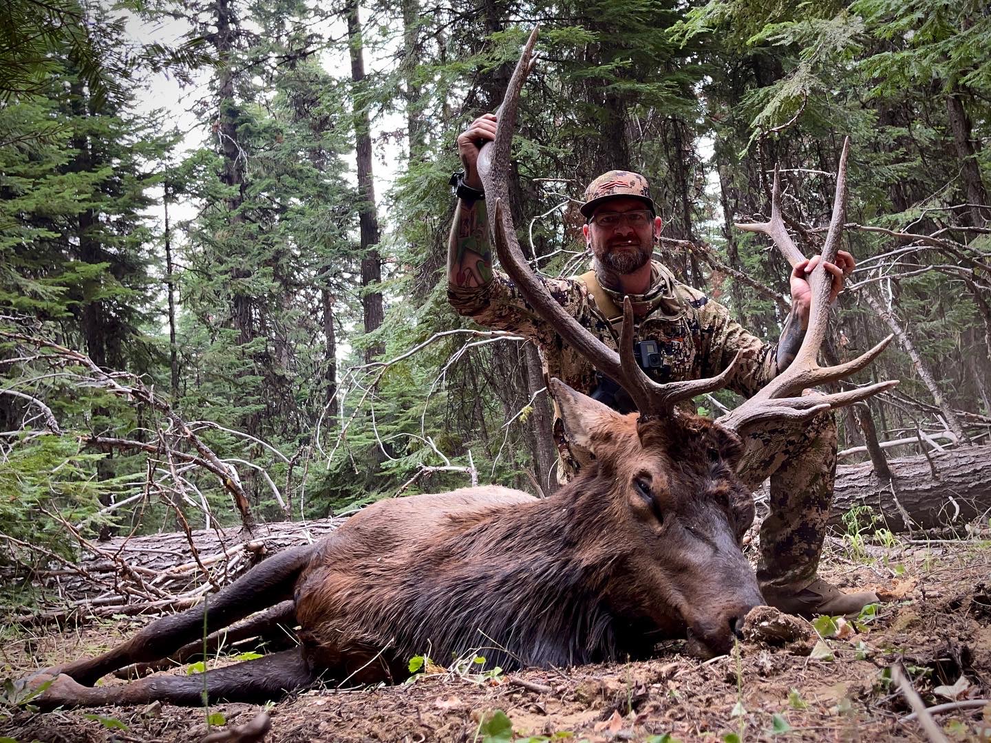 Hunter in camouflage holding a rifle behind a large, fallen elk with antlers in a forest.