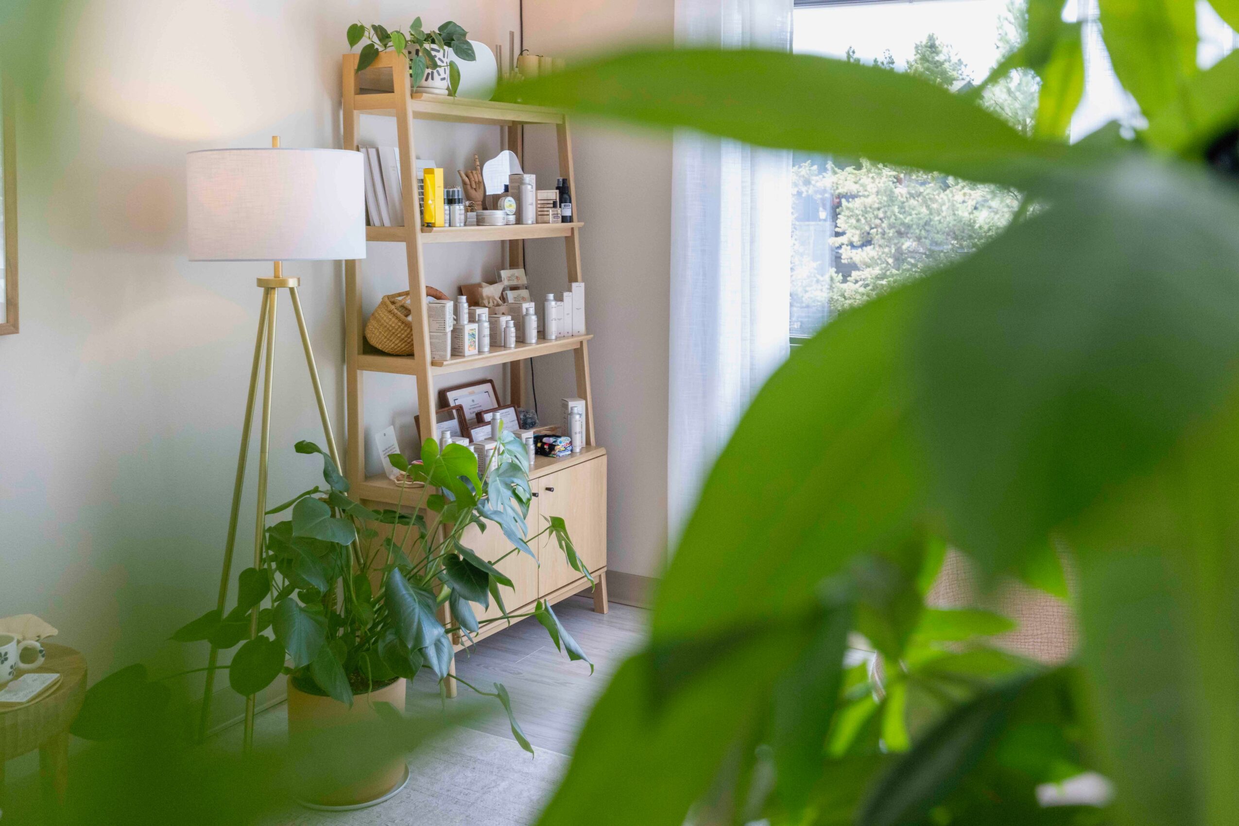 Room with a wooden bookshelf, potted plants, a floor lamp, and a window with curtains, viewed through large green leaves.