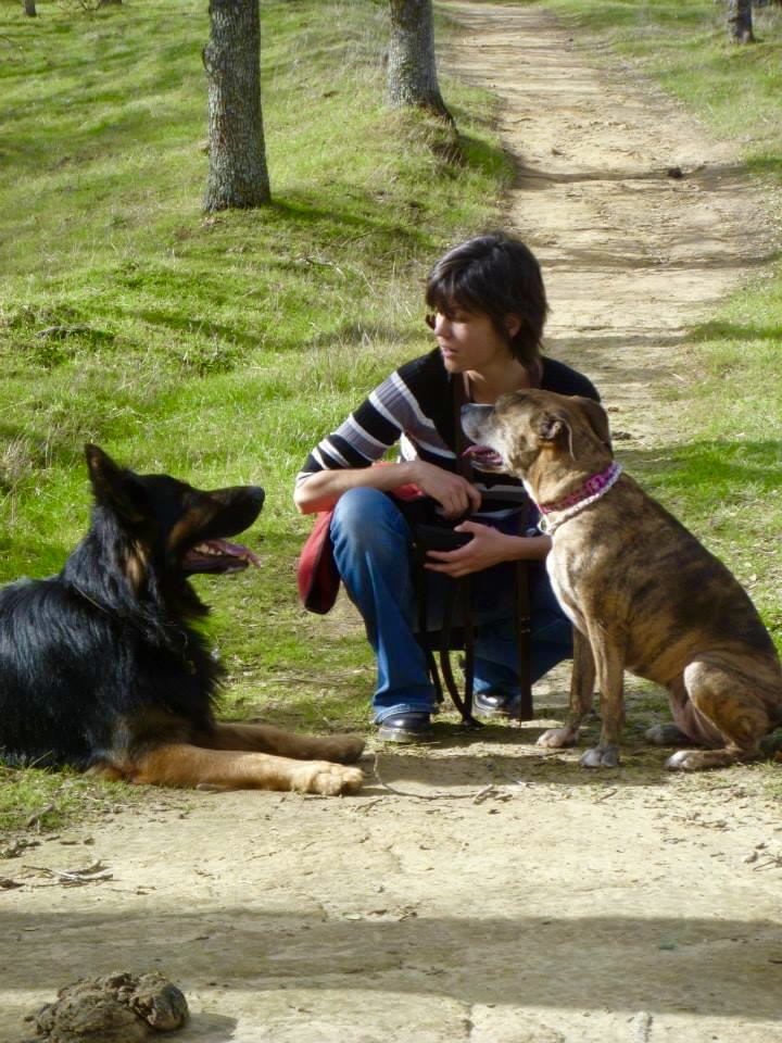 Child sitting on a dirt path with two dogs, one lying down and one sitting, in a park with trees and grass.
