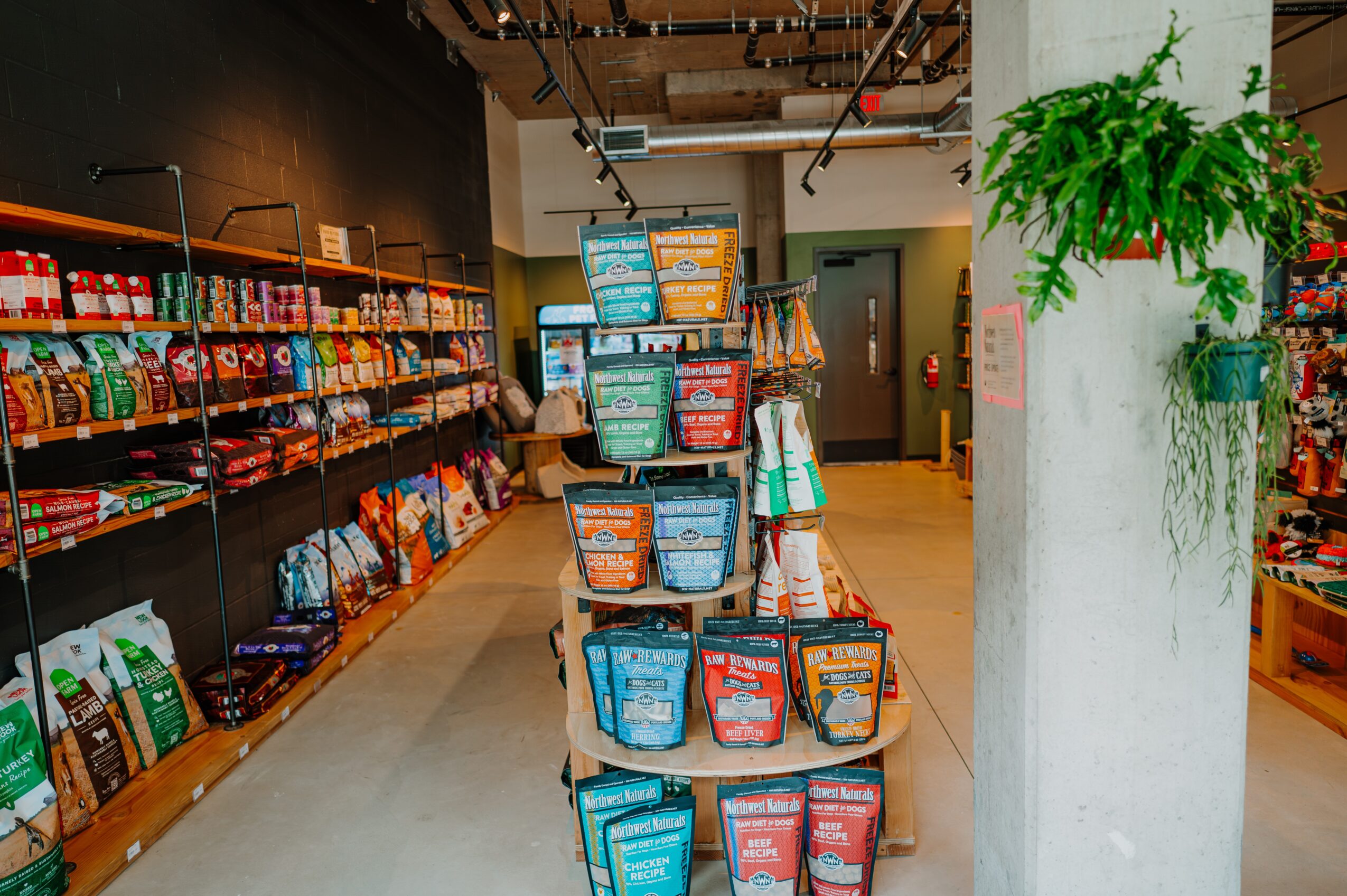 Grocery store aisle with shelves of snacks and a display of colorful bags in the center, plant on the right, and ceiling lights.