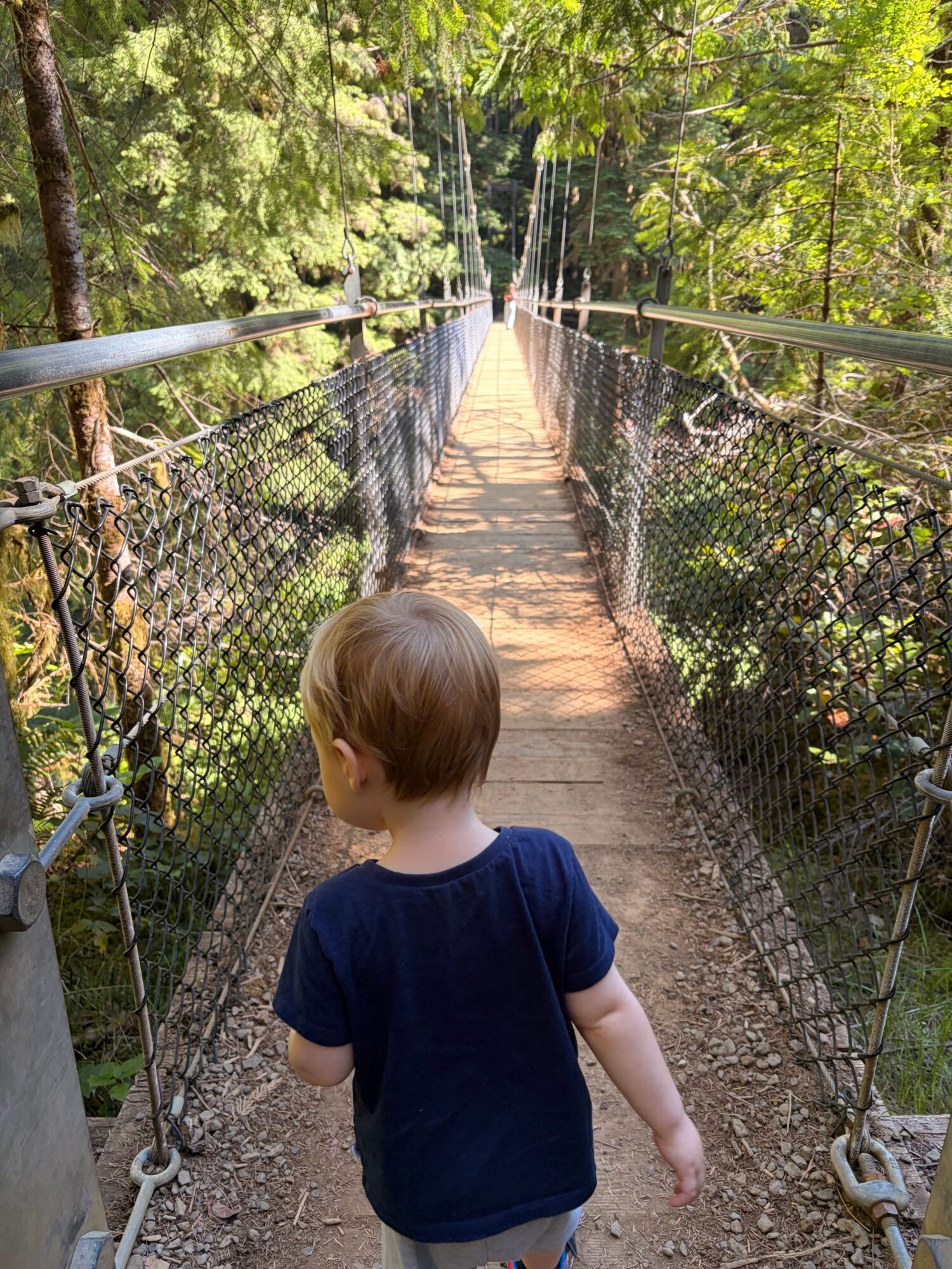 Child walking on a dirt path surrounded by trees and a chain-link fence, with sunlight filtering through leaves.