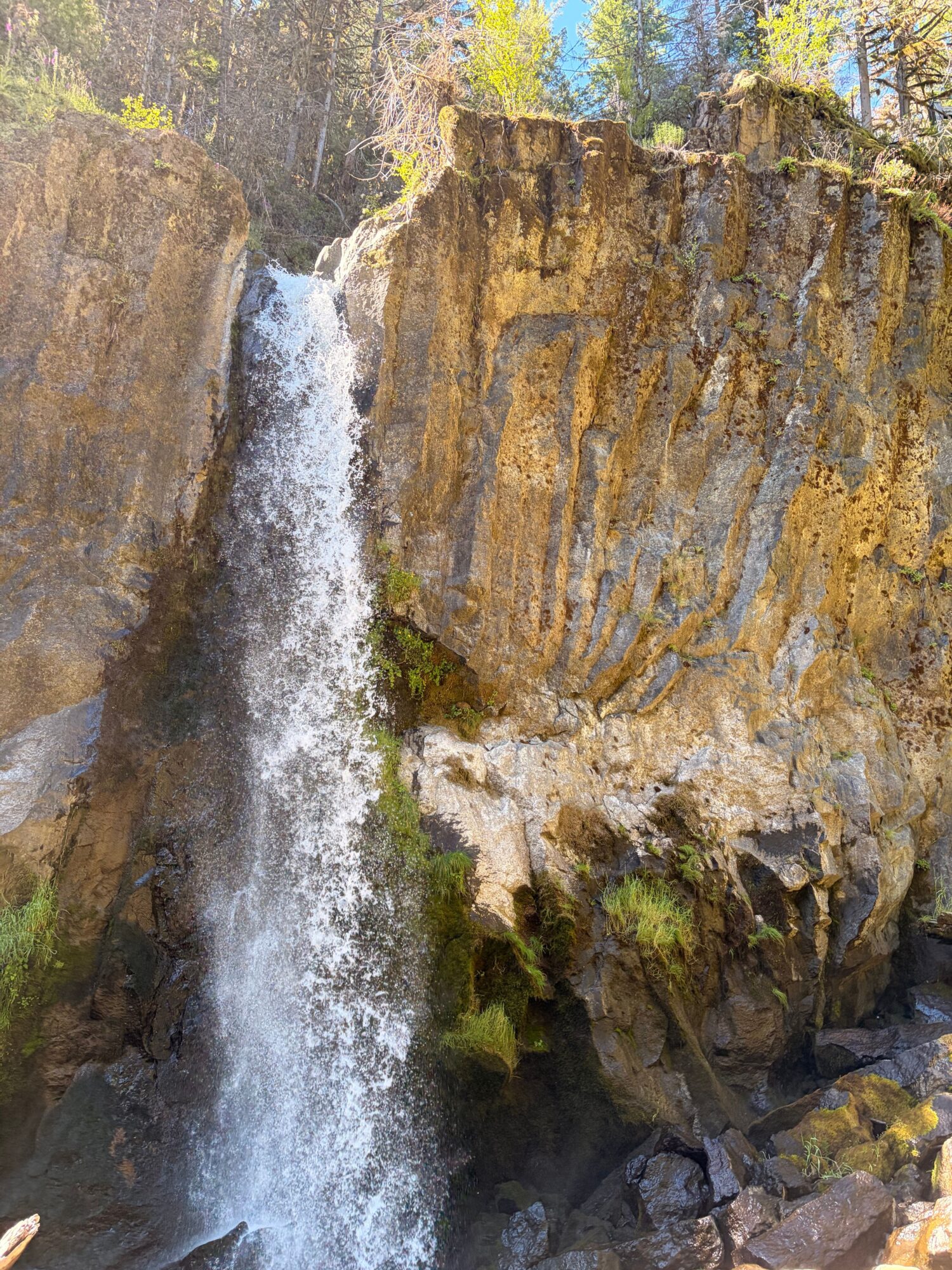 Stream flowing through rocks with moss, surrounded by trees, sunlight filtering through leaves.