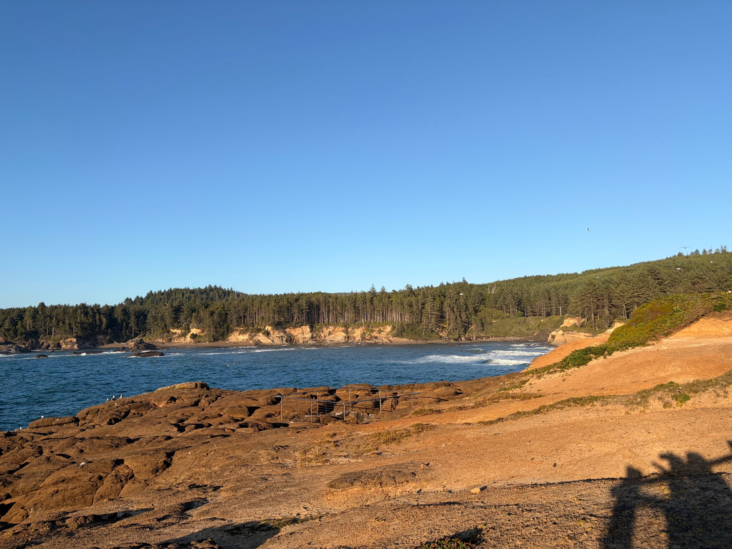 Coastal landscape with rocky shore, water, and forested hills under a clear blue sky.