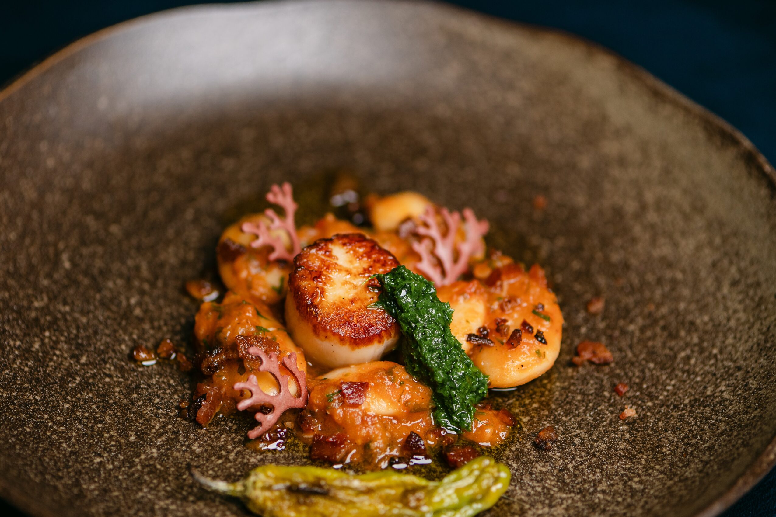 Seared scallops with pink pasta, green sauce, and sauce drizzled on a dark textured plate.