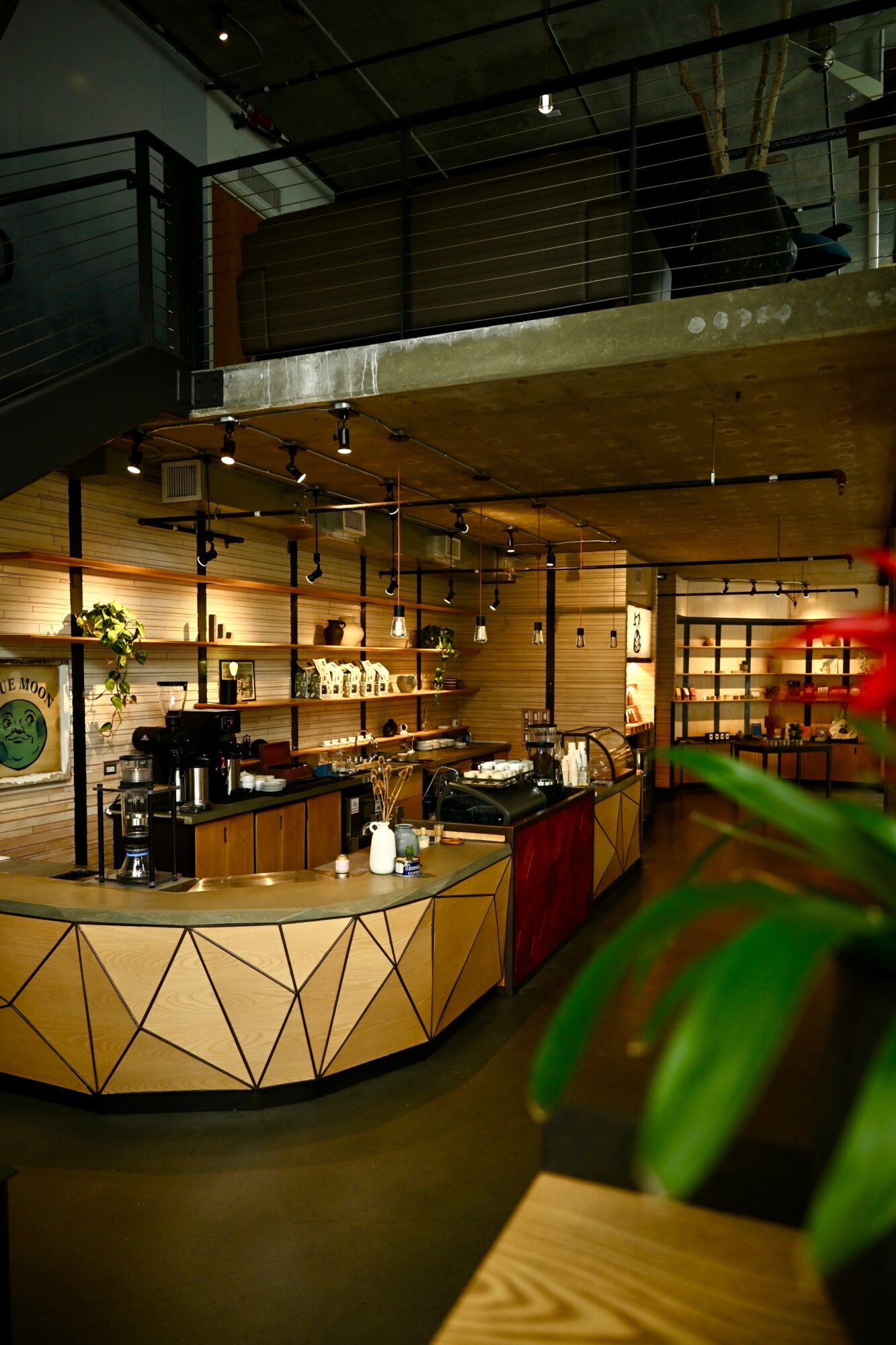 Interior of a modern cafe with a curved counter, wooden shelves, and warm lighting, with a plant in the foreground.