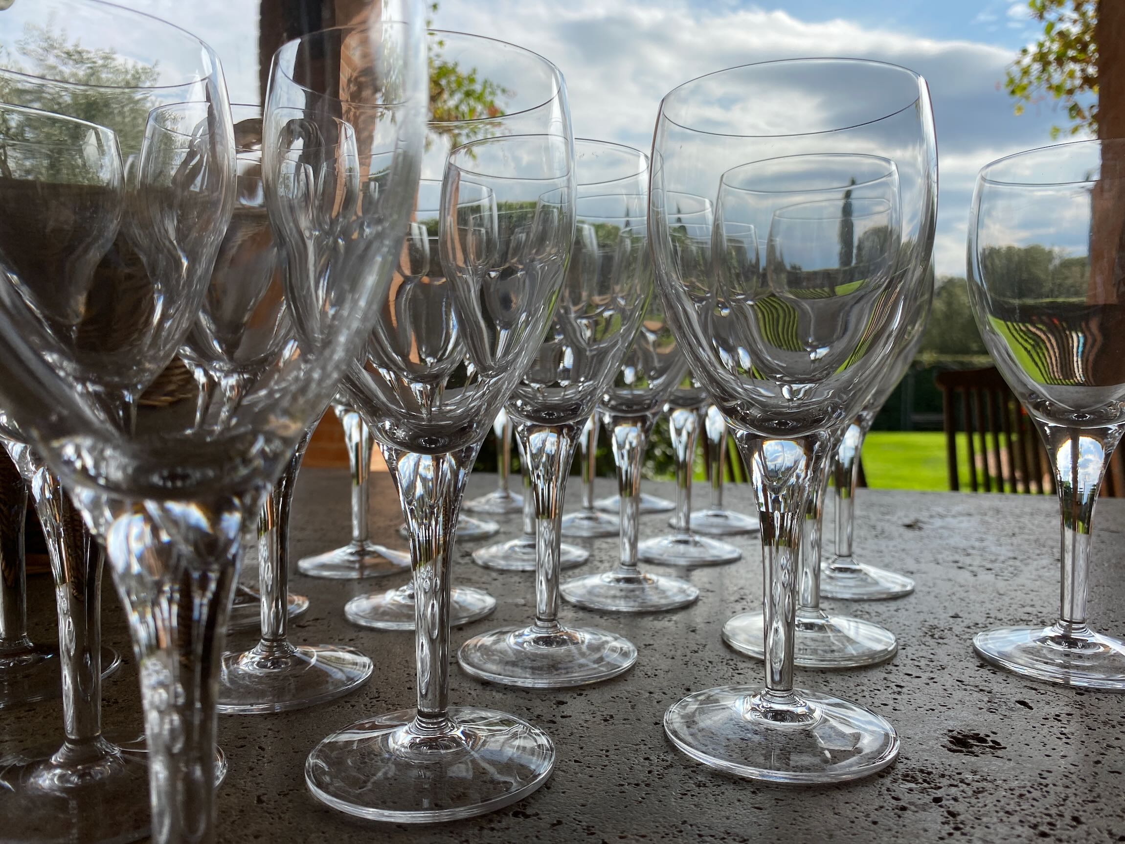 Multiple empty wine glasses arranged on a table outdoors with a grassy area and trees in the background.