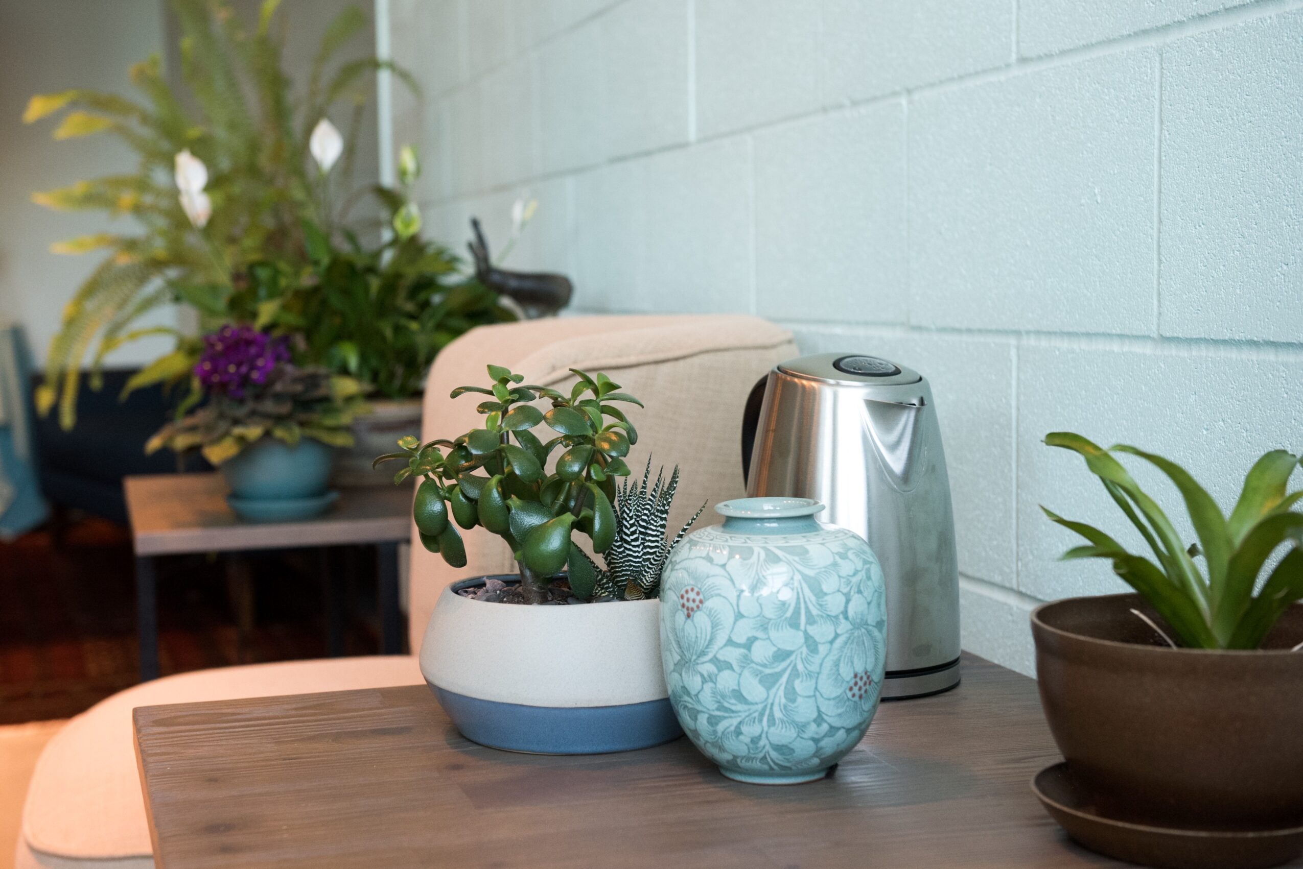 Plants and a kettle on a wooden table against a light-colored wall.