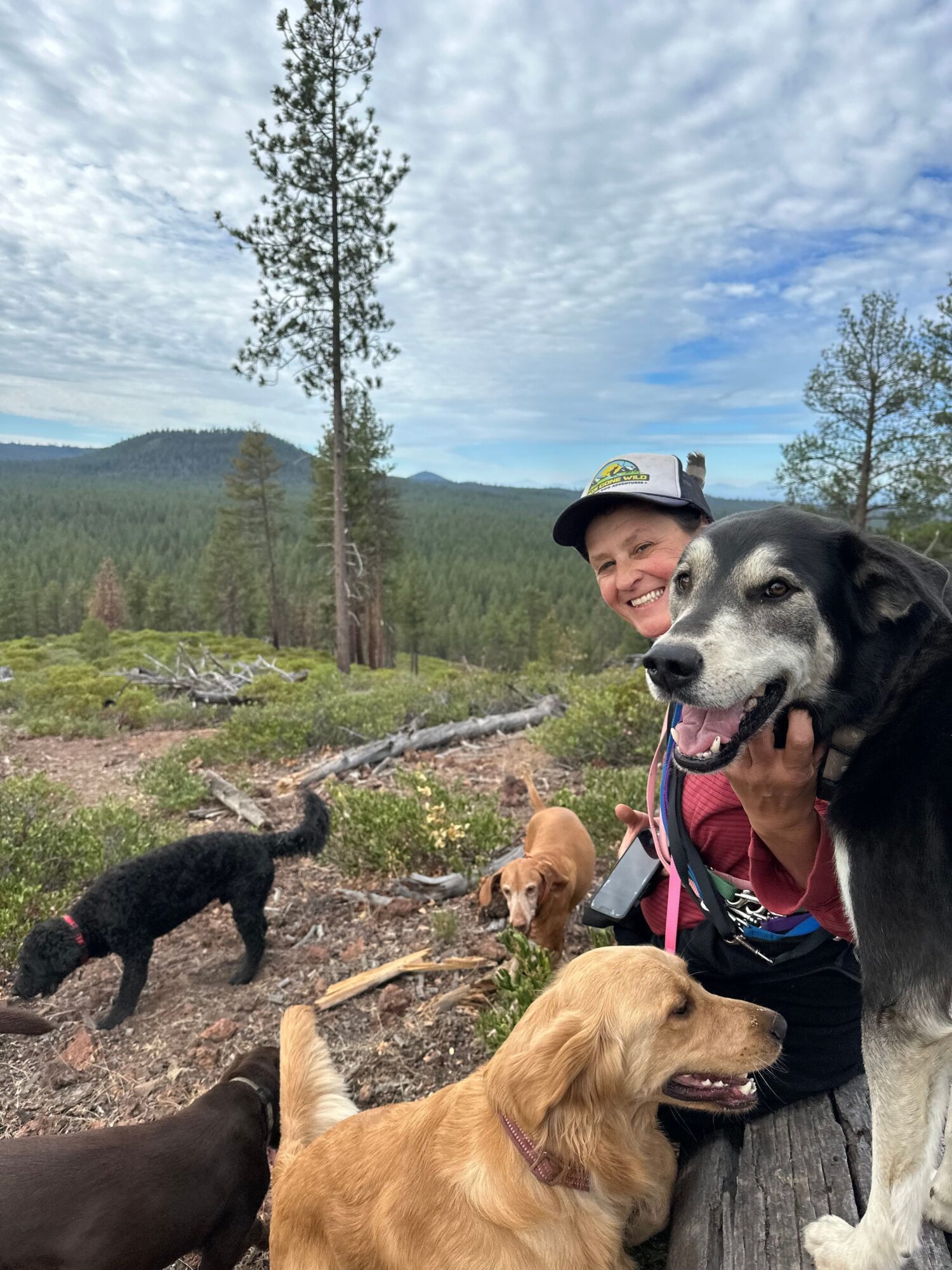 Person with a black and white dog outdoors with trees and mountains, surrounded by several dogs, some lying down and some standing.