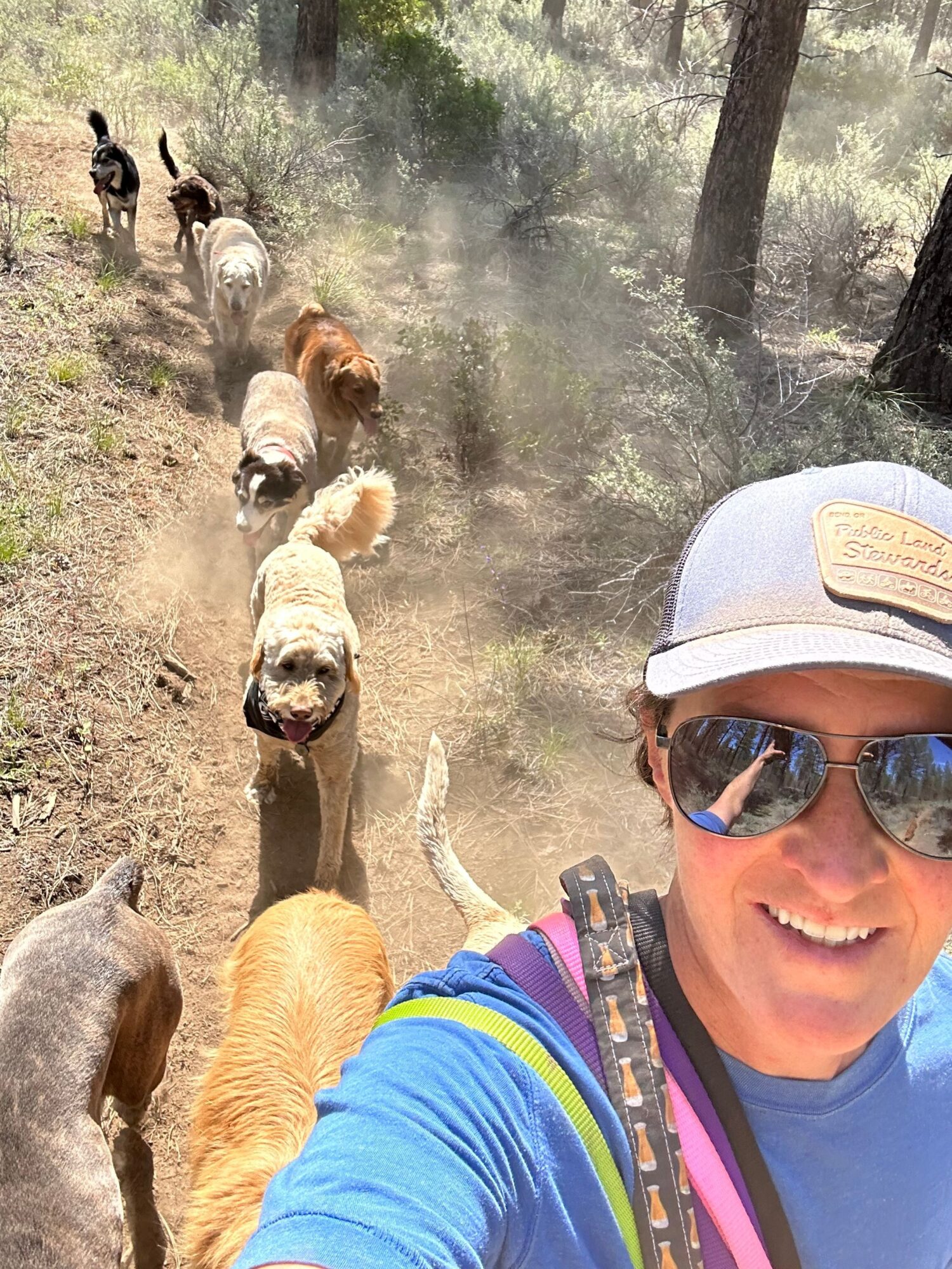 Person taking a selfie outdoors with dogs on a dirt trail, trees in the background, smiling face, wearing sunglasses and a cap.