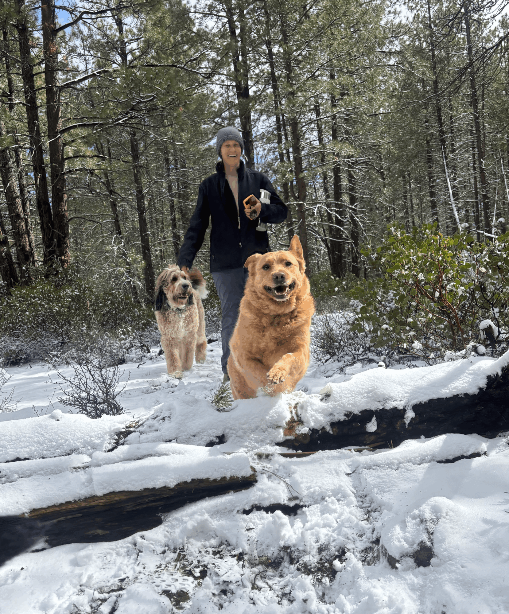Person walking two dogs through snowy forest, one dog running ahead, trees in background.