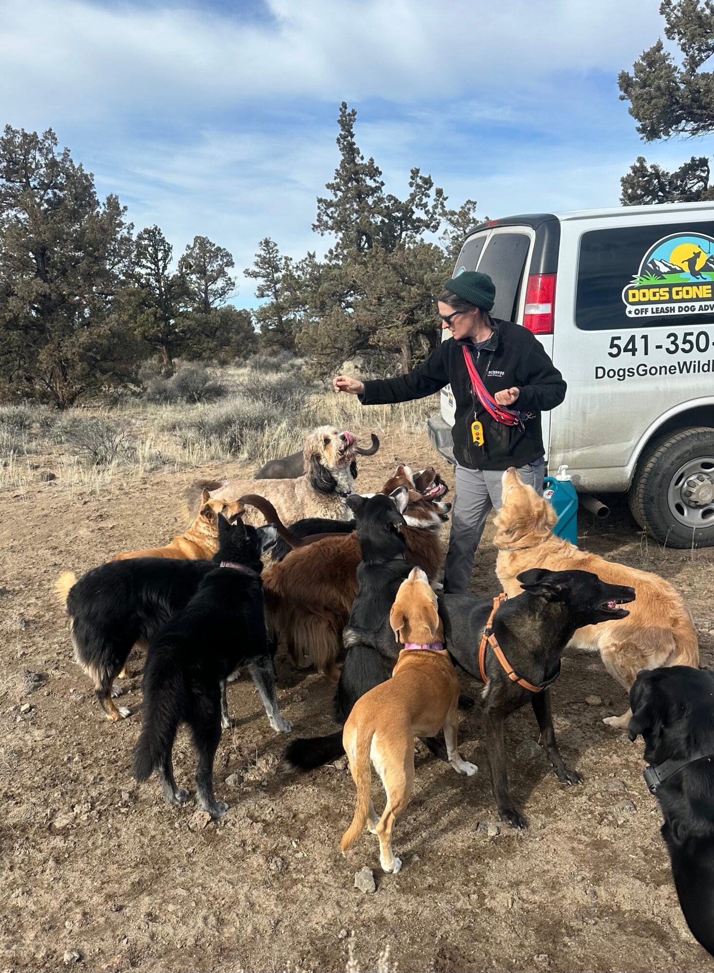 Person wearing a hat and jacket interacts with multiple dogs outdoors near a van, trees, and a blue sky.