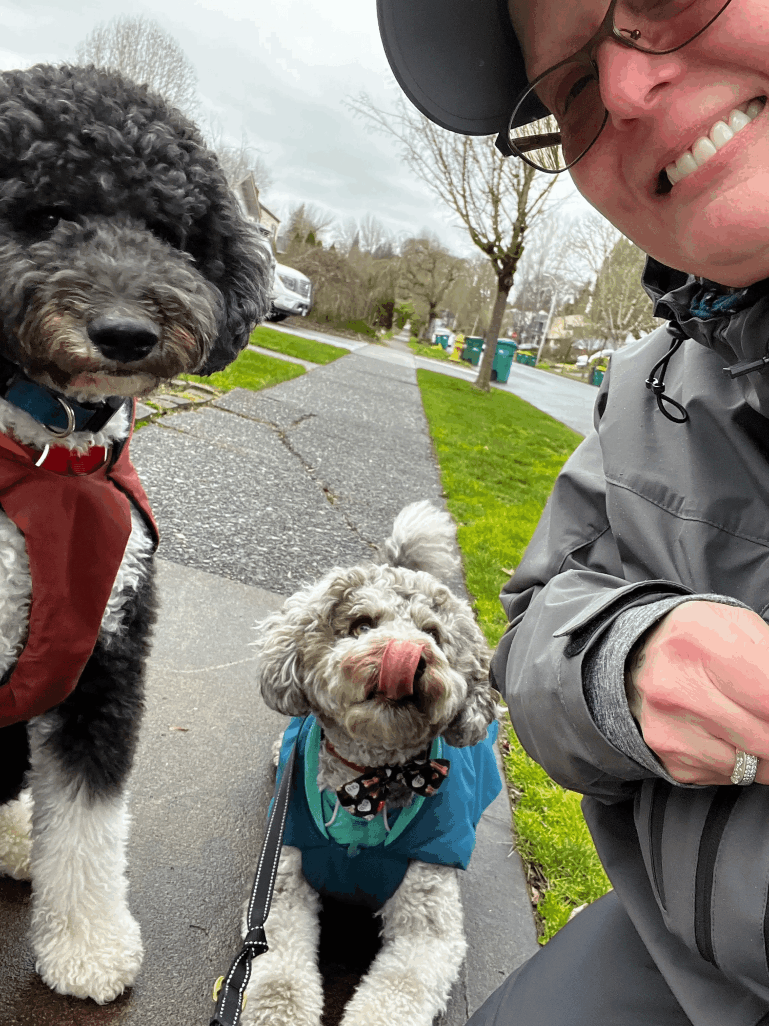 Person smiling with two dogs outdoors on a sidewalk, one dog licking its nose, trees and parked cars in background.