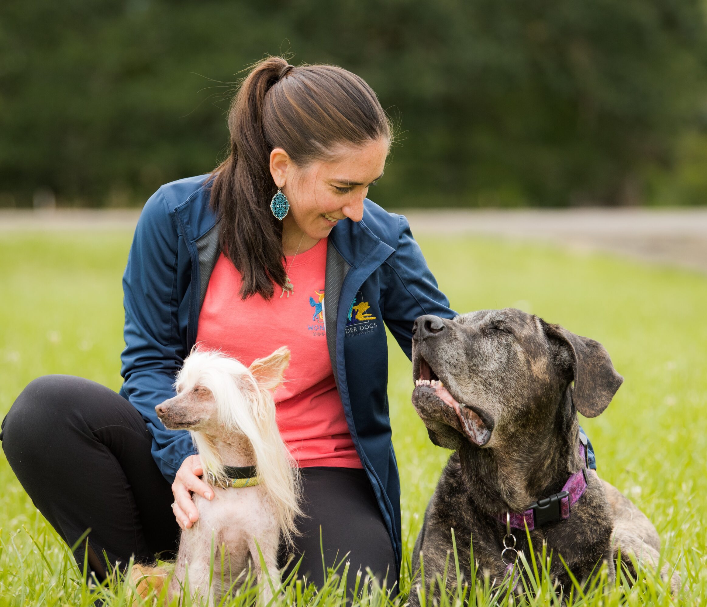Woman with two dogs sitting on grass, one small and white, the other large and brindle, outdoors with trees in background.