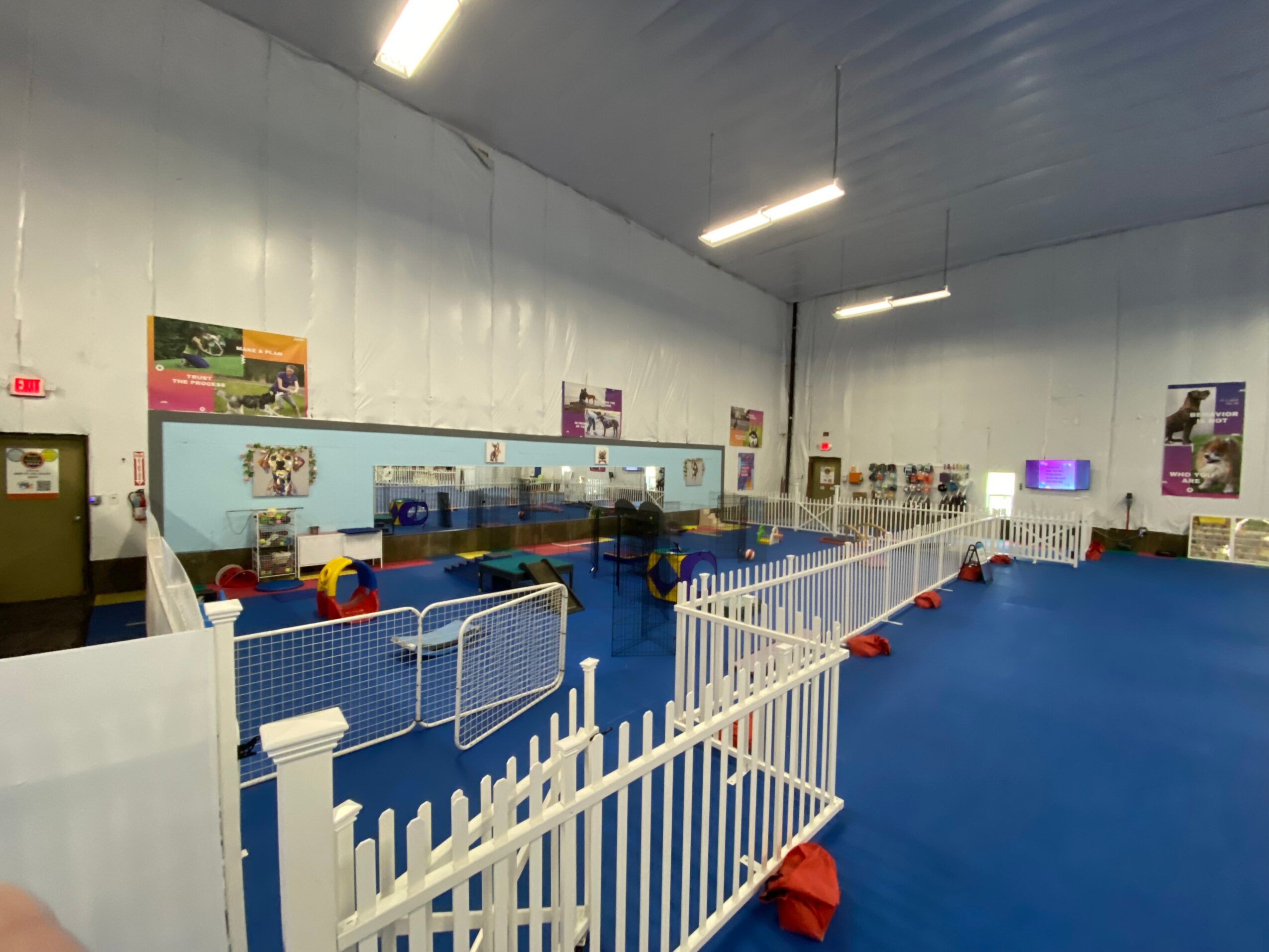 Indoor play area with blue flooring, white fences, and various toys and posters on the walls.
