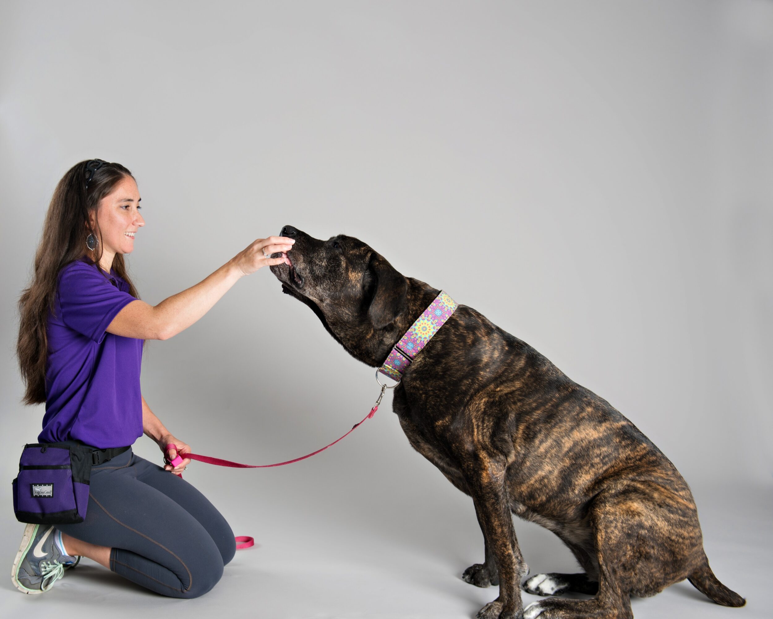 A woman kneeling and holding a treat towards a large brindle dog sitting and reaching for the treat.