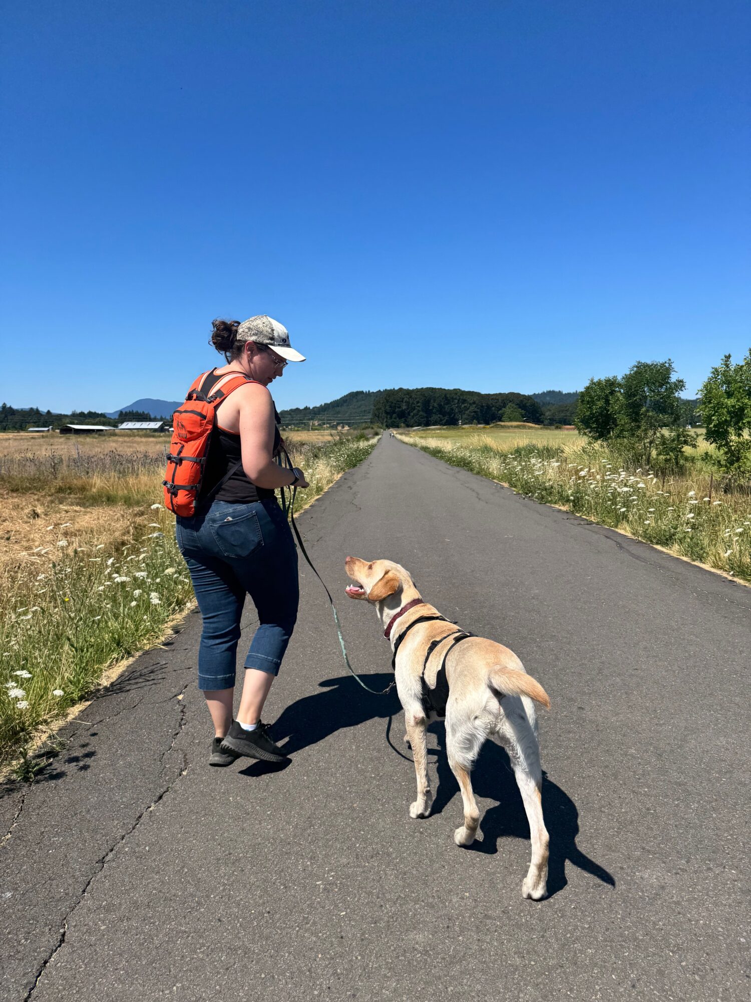 Person walking a dog on a paved path with greenery and blue sky in the background.