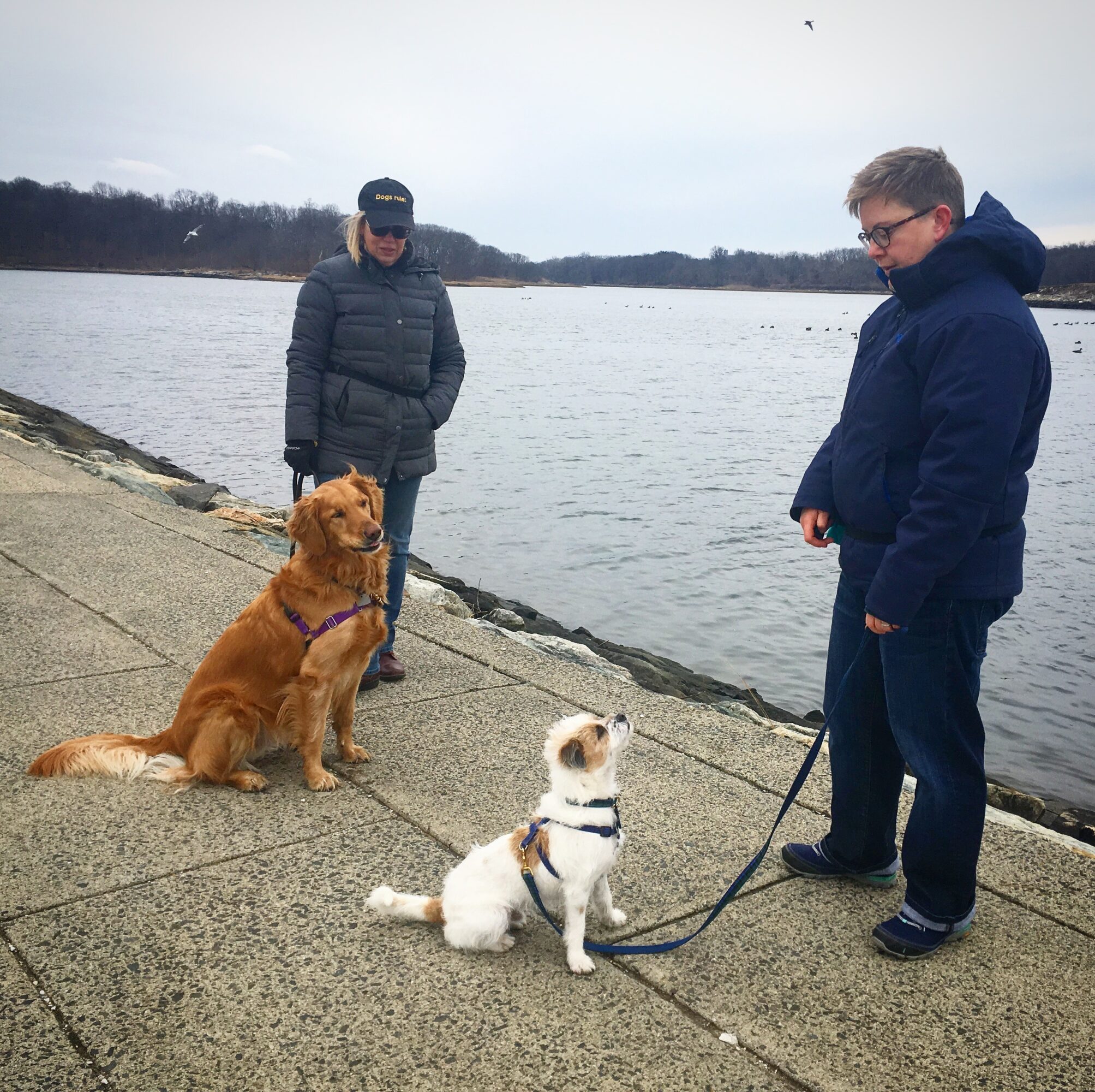 Two people with two dogs by a body of water on a cloudy day, one person standing and the other sitting, dogs on leashes.