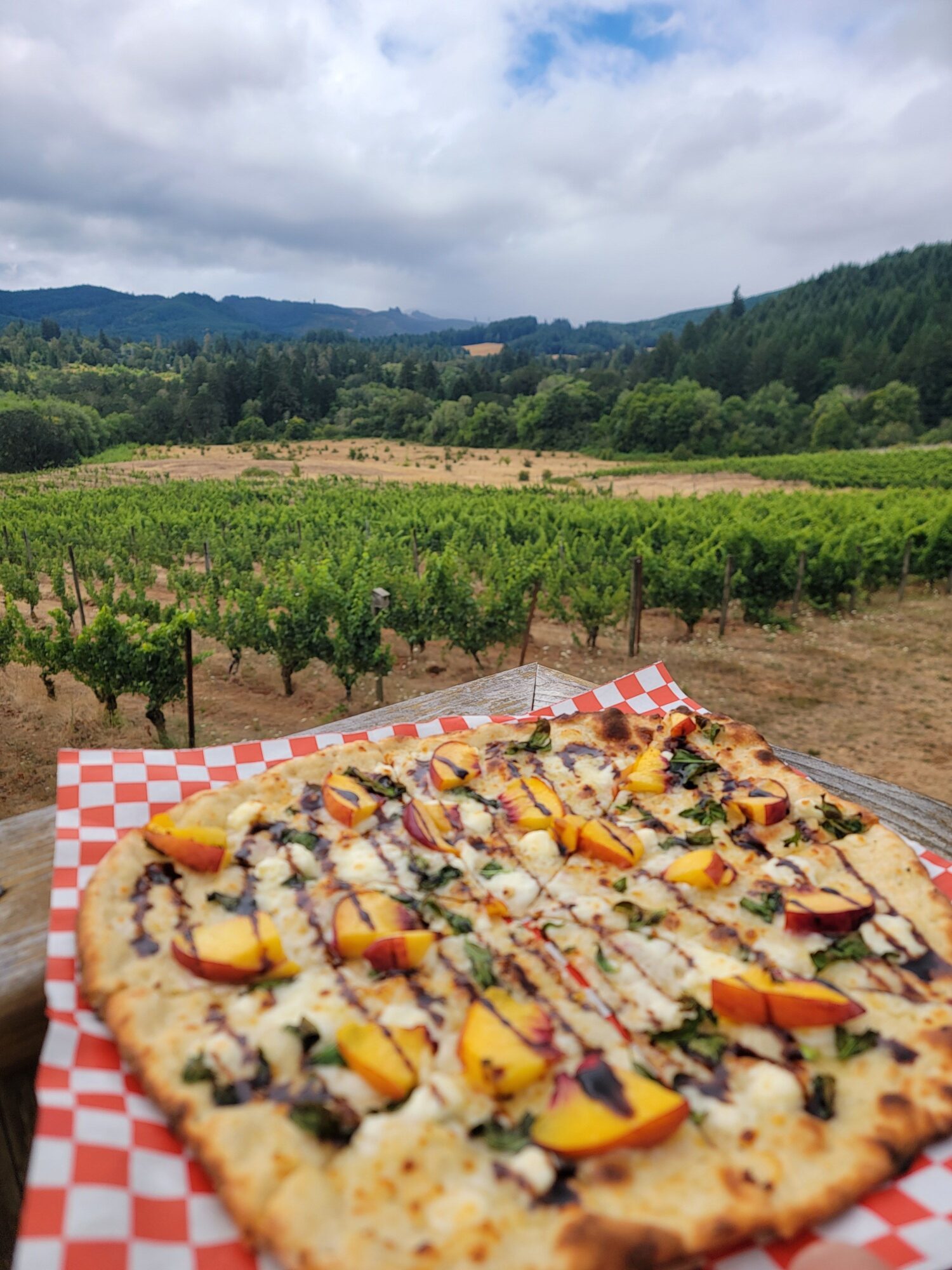 Pizza on checkered paper outdoors with green trees and cloudy sky in background.