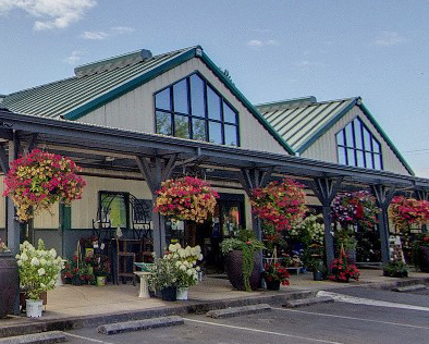 Exterior of a building with a green roof, large windows, and hanging flower baskets, with a parking lot in front.