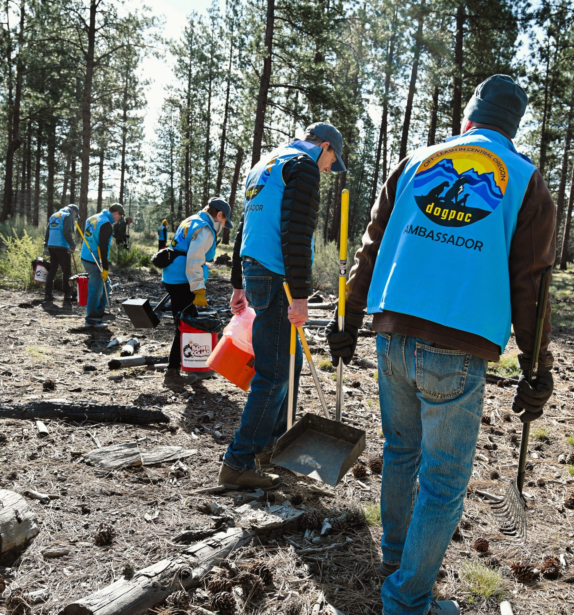 Group of volunteers in blue vests cleaning up a forested area with tools and trash bags.