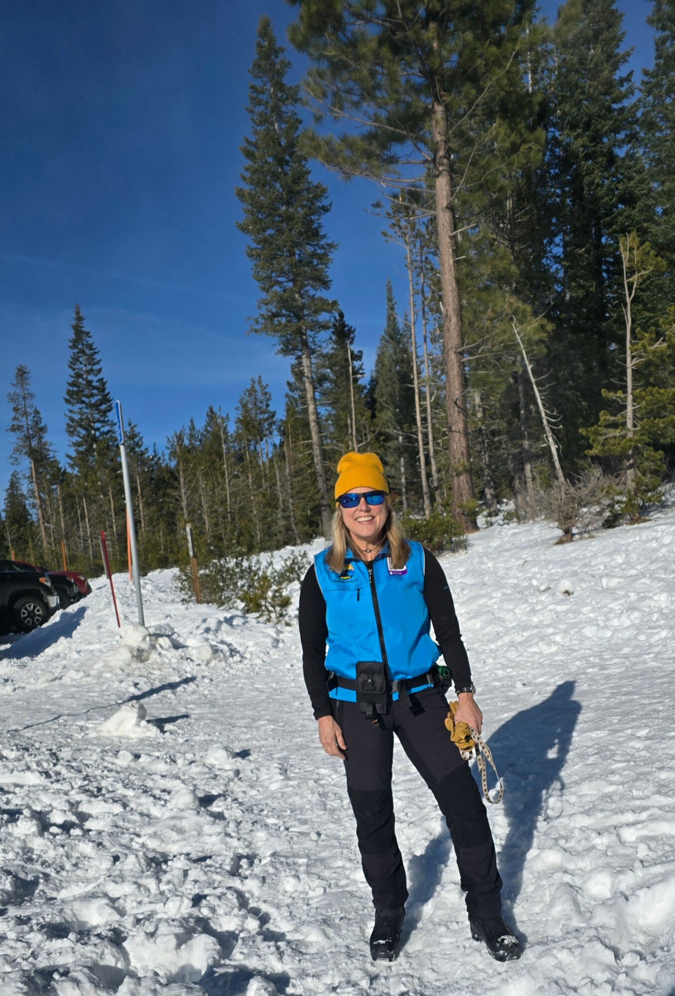 Person standing in snowy landscape with tall trees, wearing a yellow hat, sunglasses, and a blue jacket.