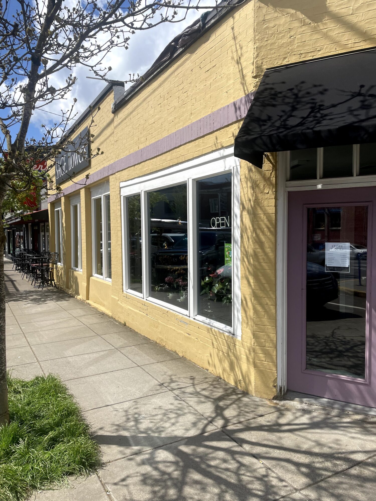 Yellow building with large front windows and a purple door, sidewalk, and tree shadows, daytime.