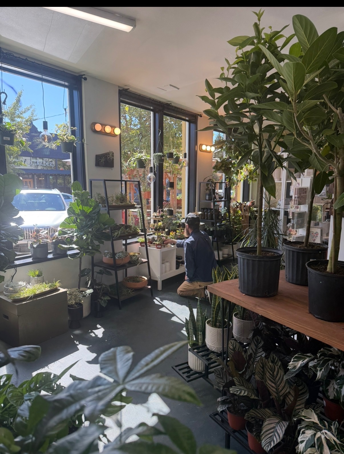 Indoor space with large windows, numerous potted plants, and a person walking inside, sunlight streaming in.
