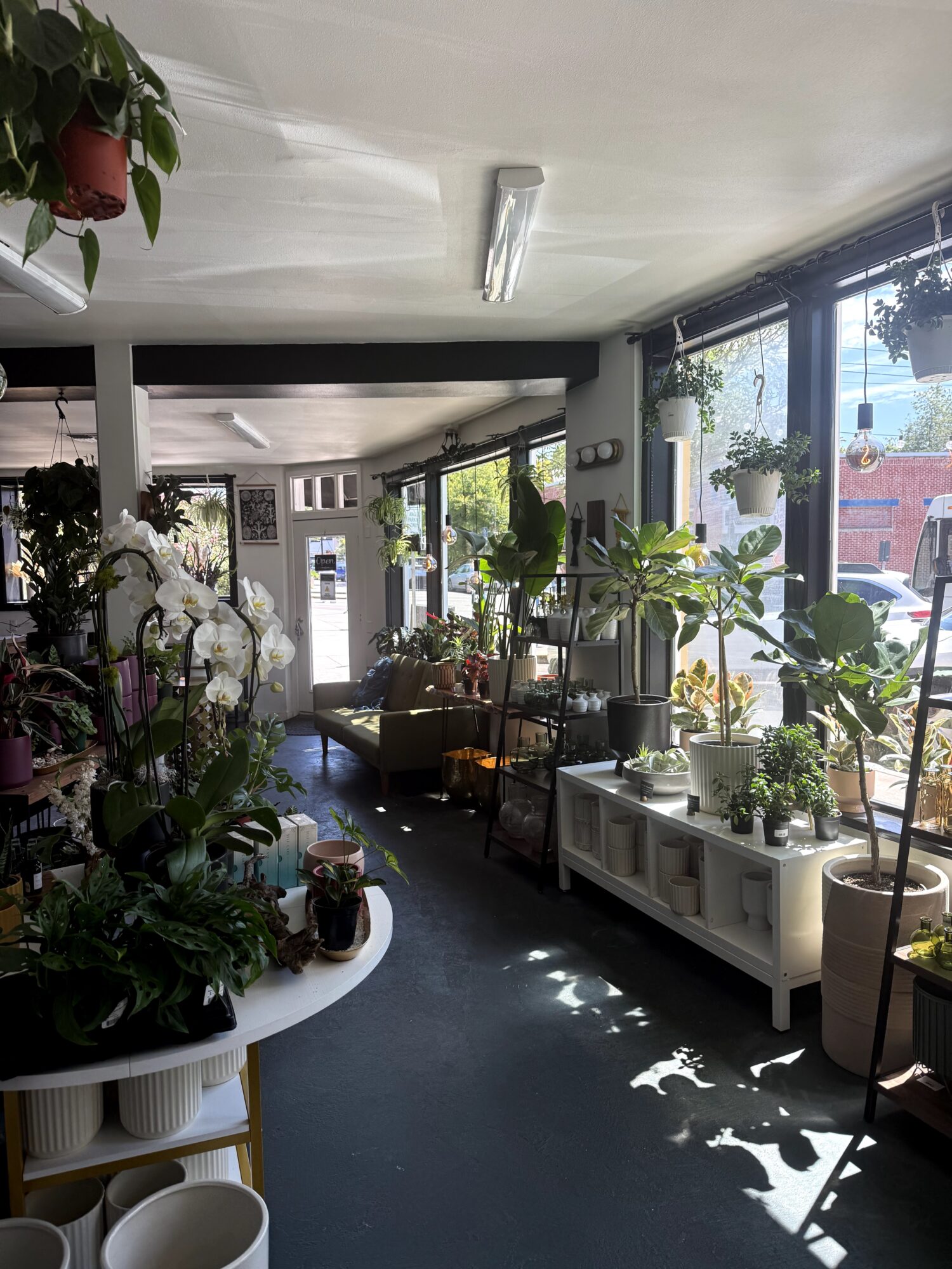 Sunlit interior with plants, shelves, and seating near large windows, casting shadows on the floor.